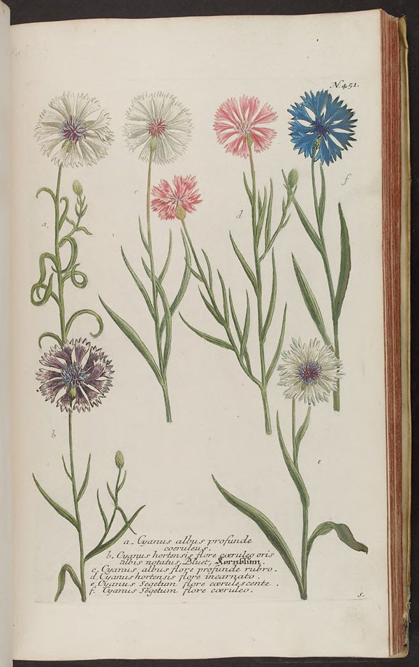 no full size  illustration available (3a)