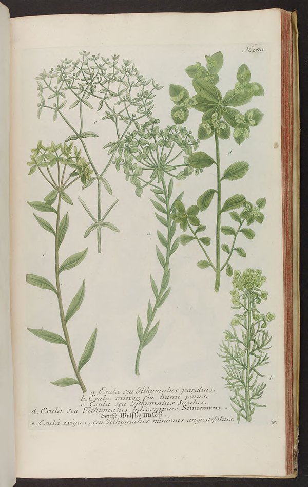 no full size  illustration available (3a)