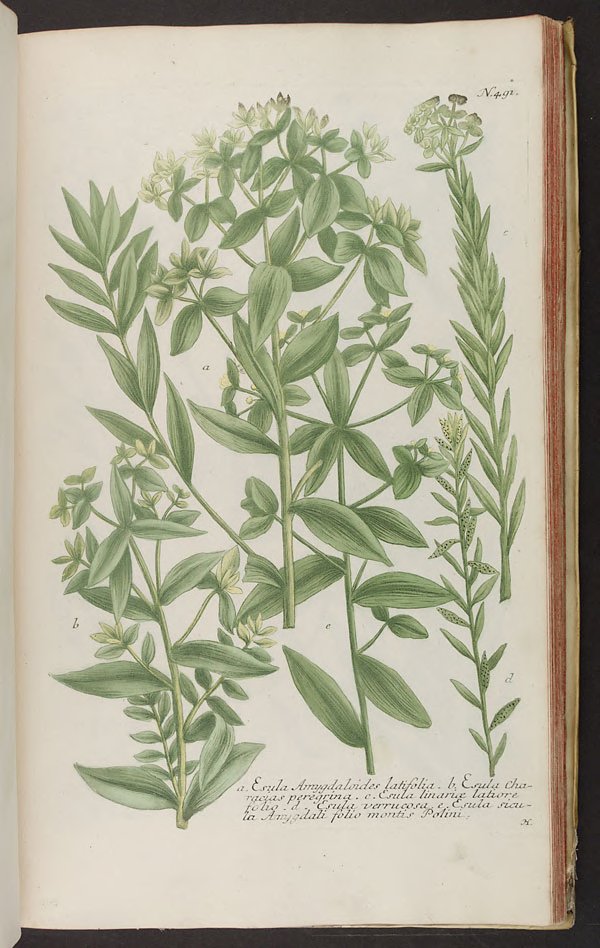 no full size  illustration available (3a)