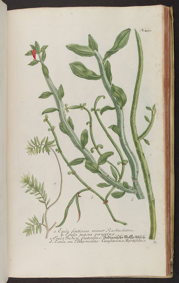 no full size  illustration available (3a)