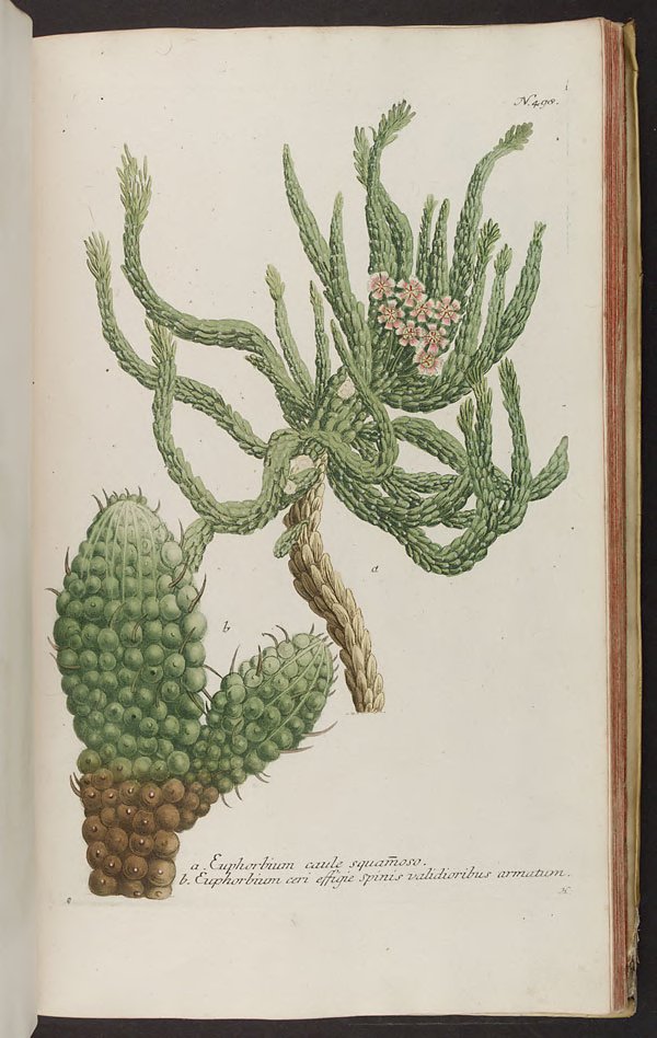 no full size  illustration available (3a)