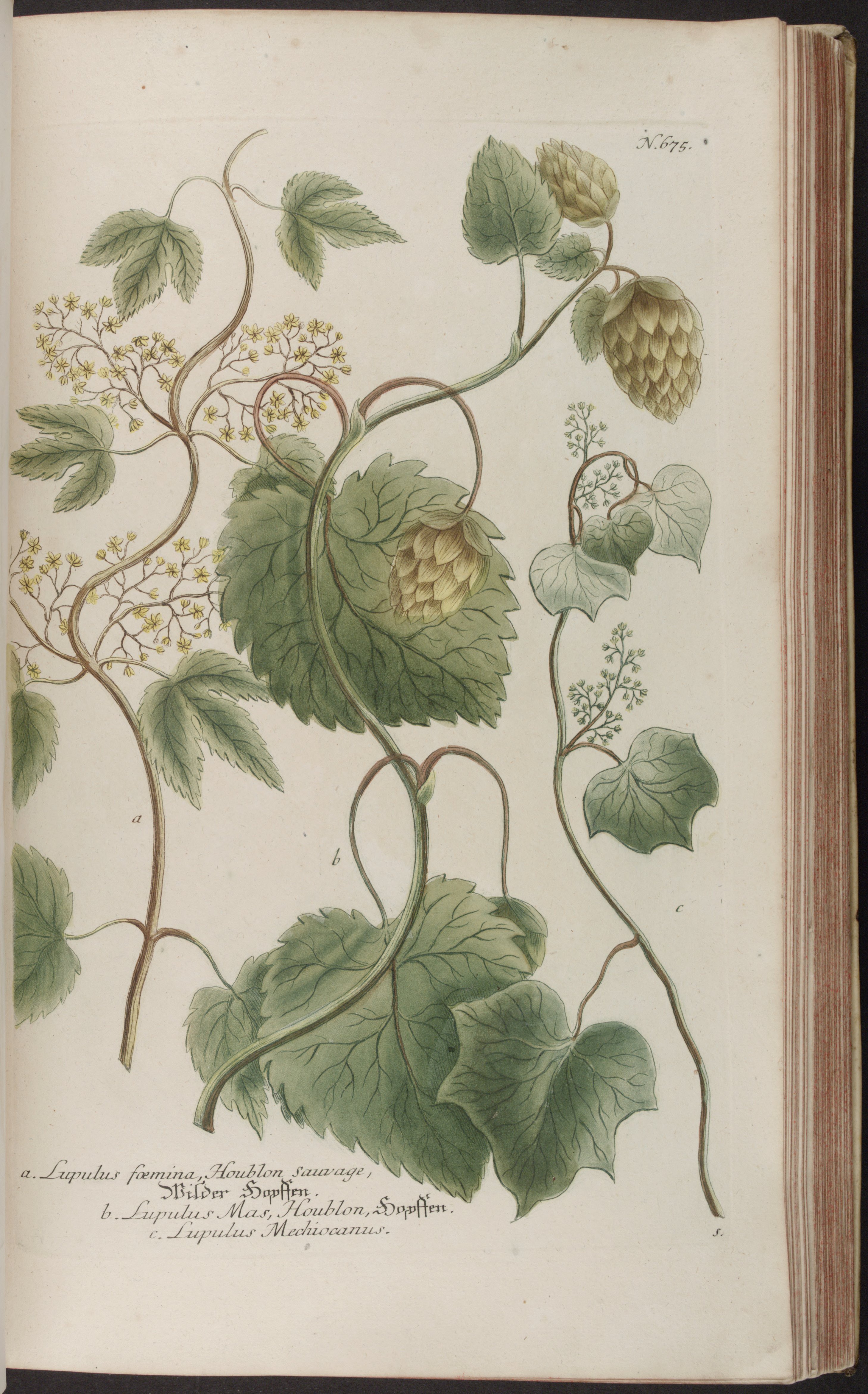 no full size  illustration available (3a)