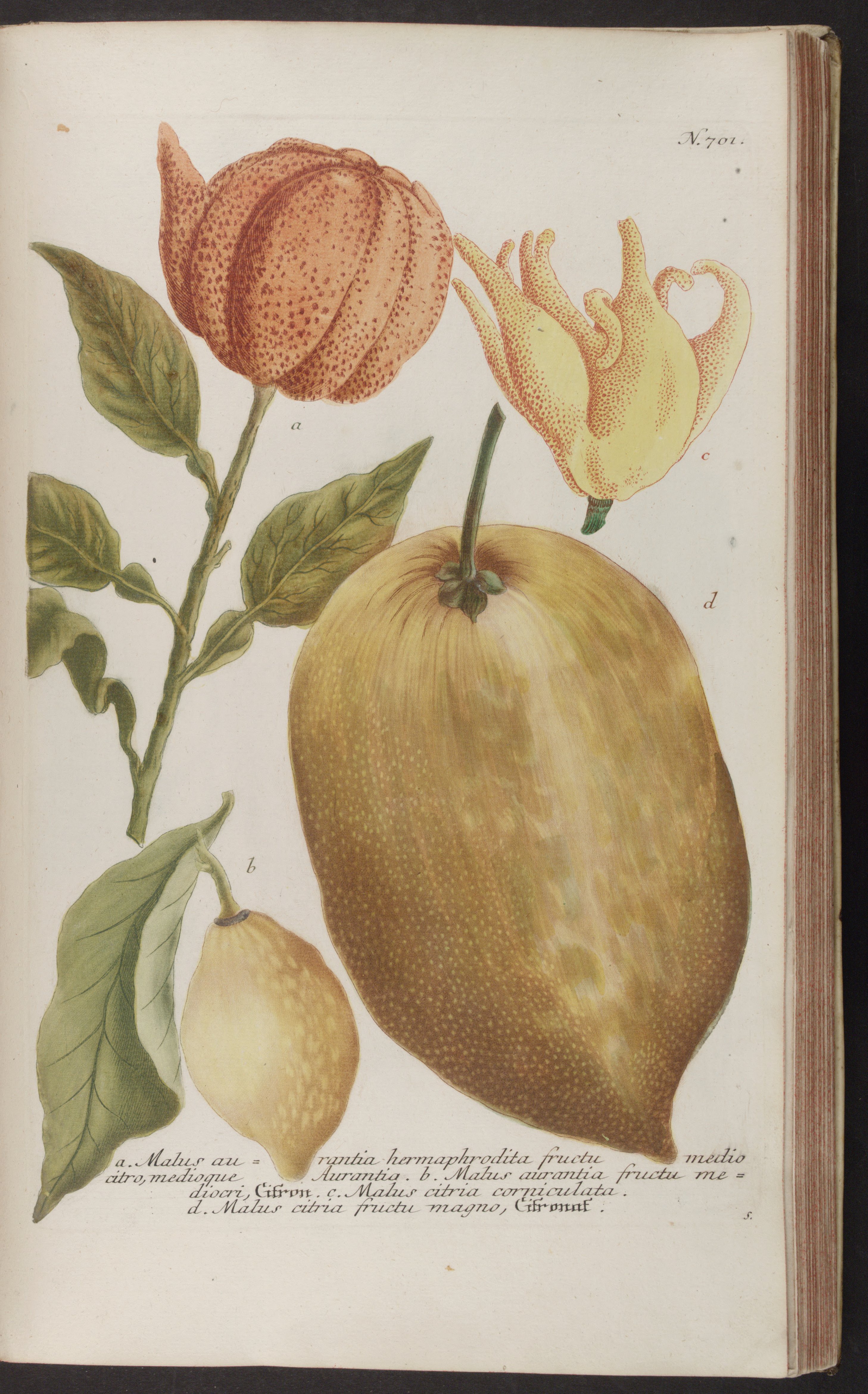 no full size  illustration available (3a)