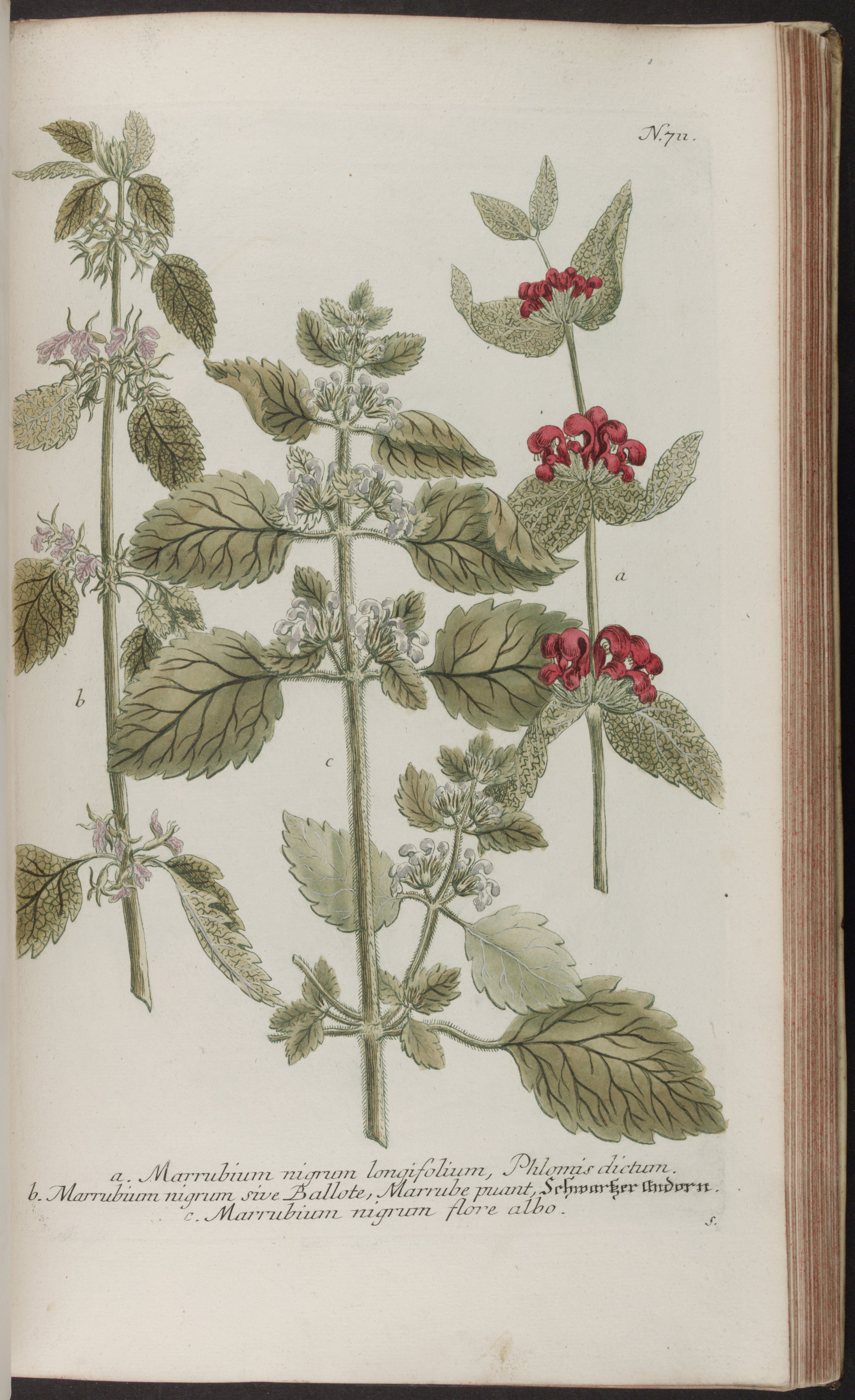 no full size  illustration available (3a)