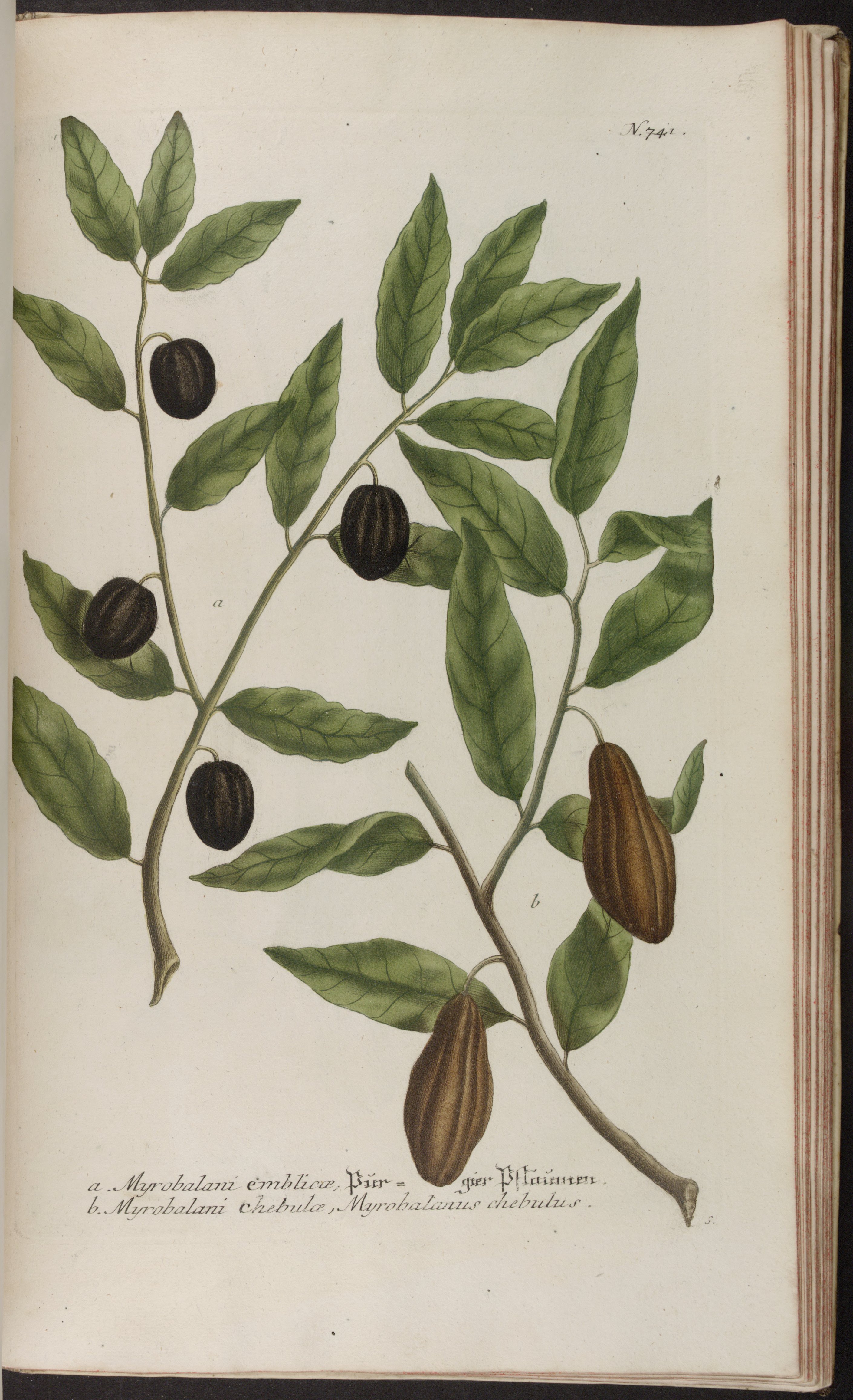 no full size  illustration available (3a)