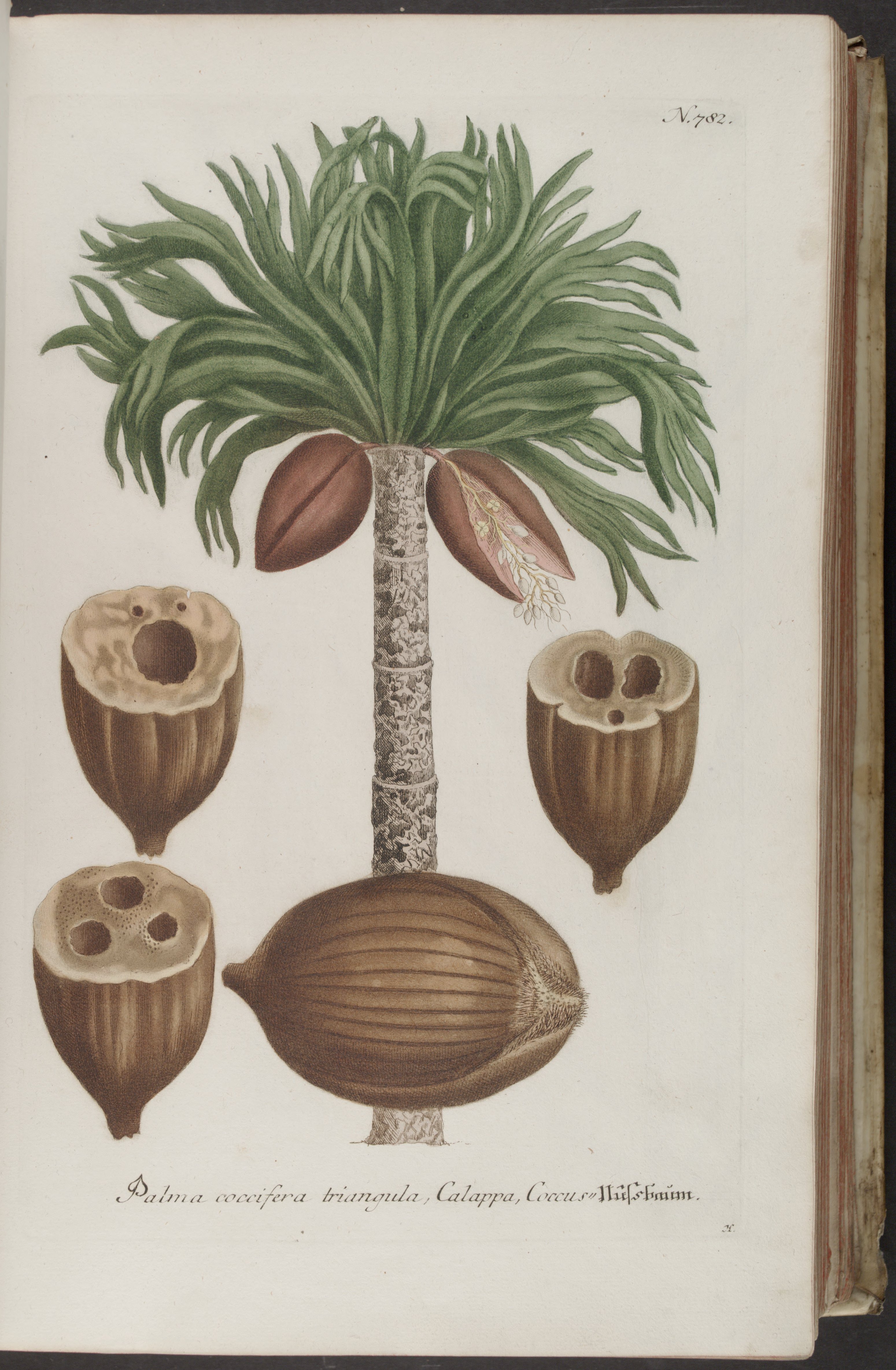 no full size  illustration available (3a)