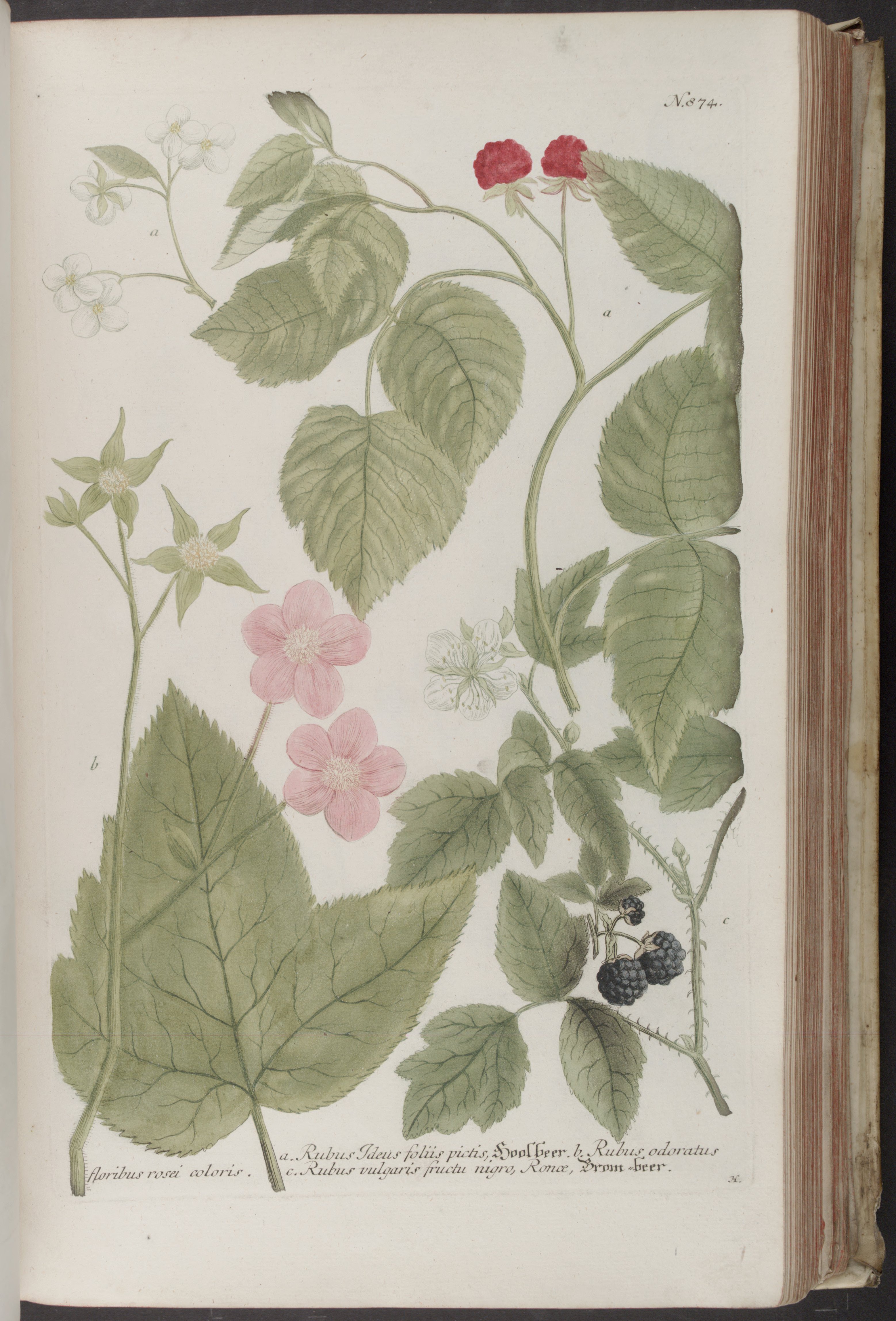 no full size  illustration available (3a)