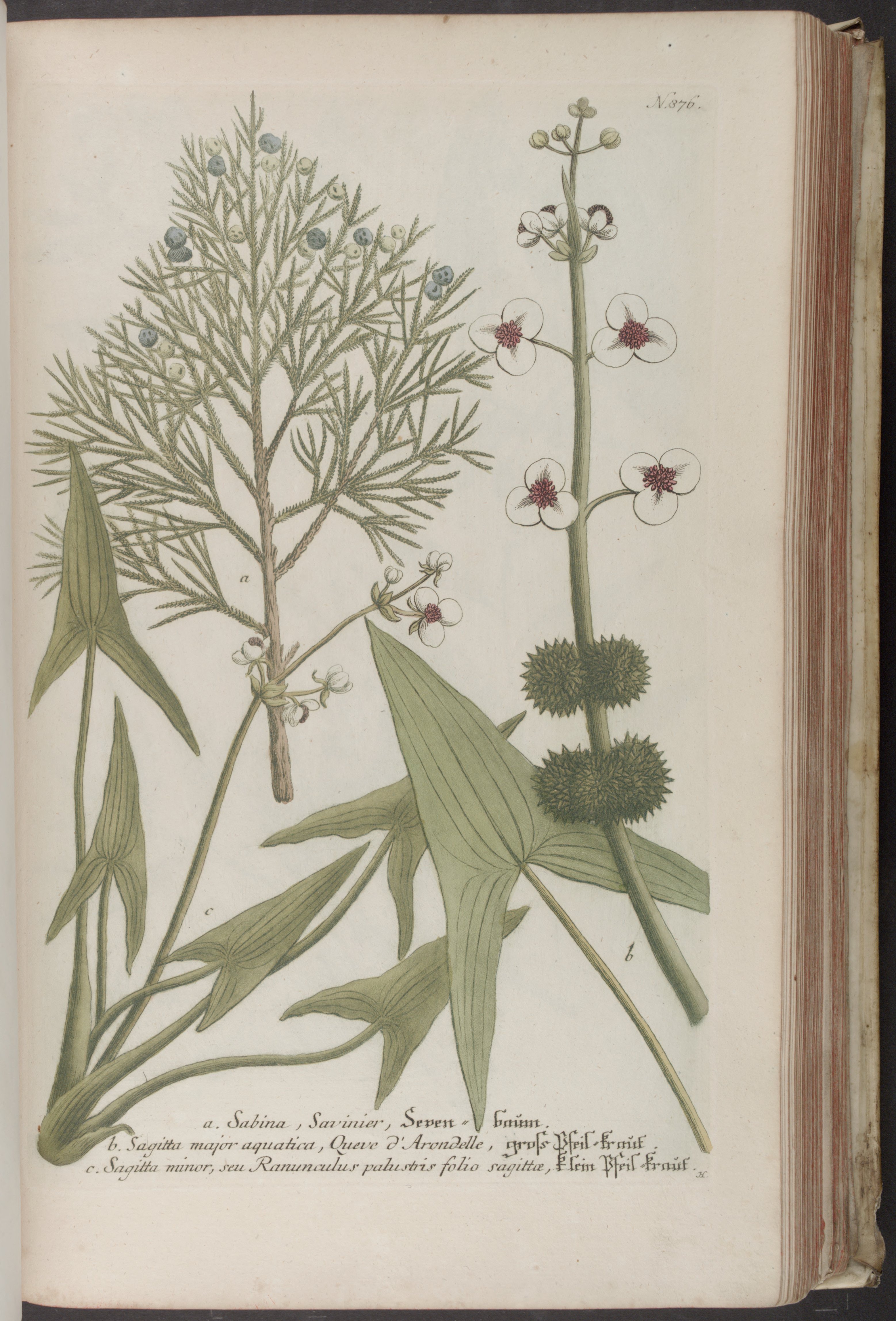 no full size  illustration available (3a)