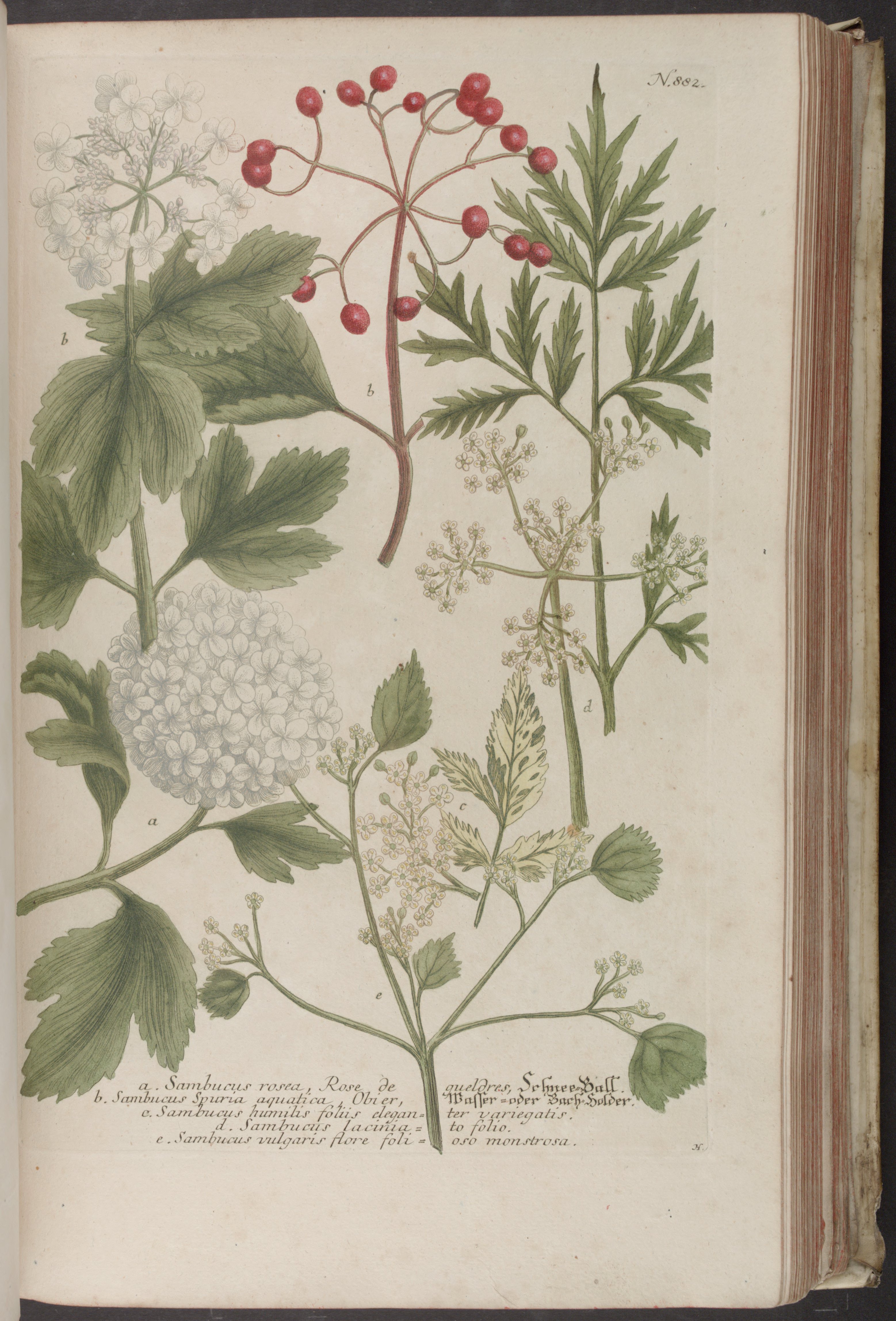 no full size  illustration available (3a)