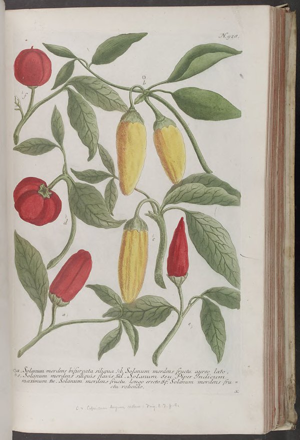 no full size  illustration available (3a)