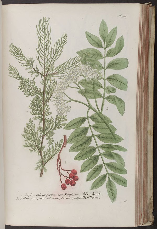 no full size  illustration available (3a)