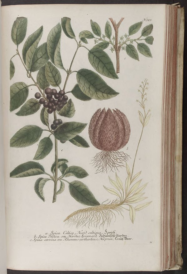 no full size  illustration available (3a)