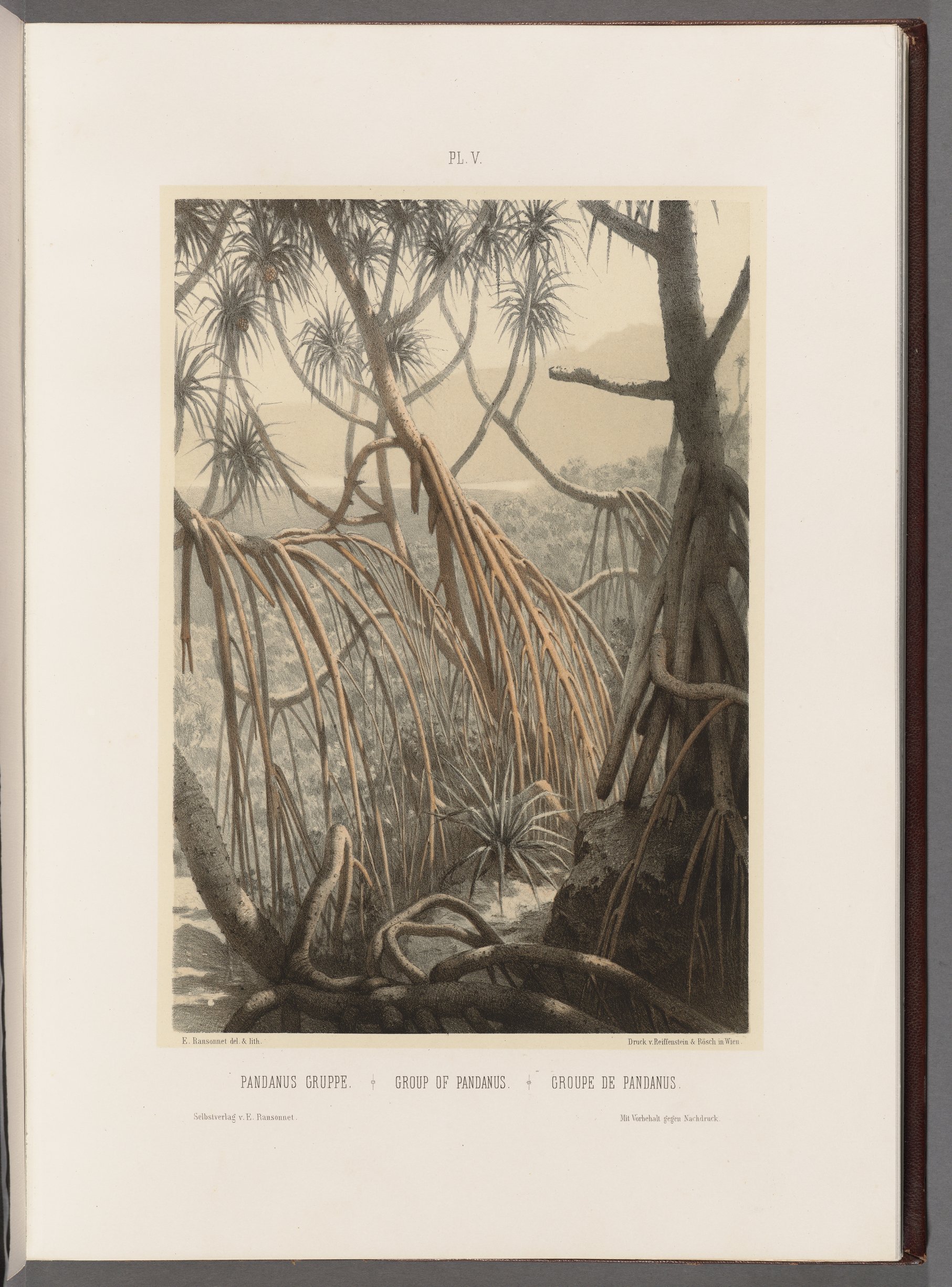 no full size  illustration available (3a)