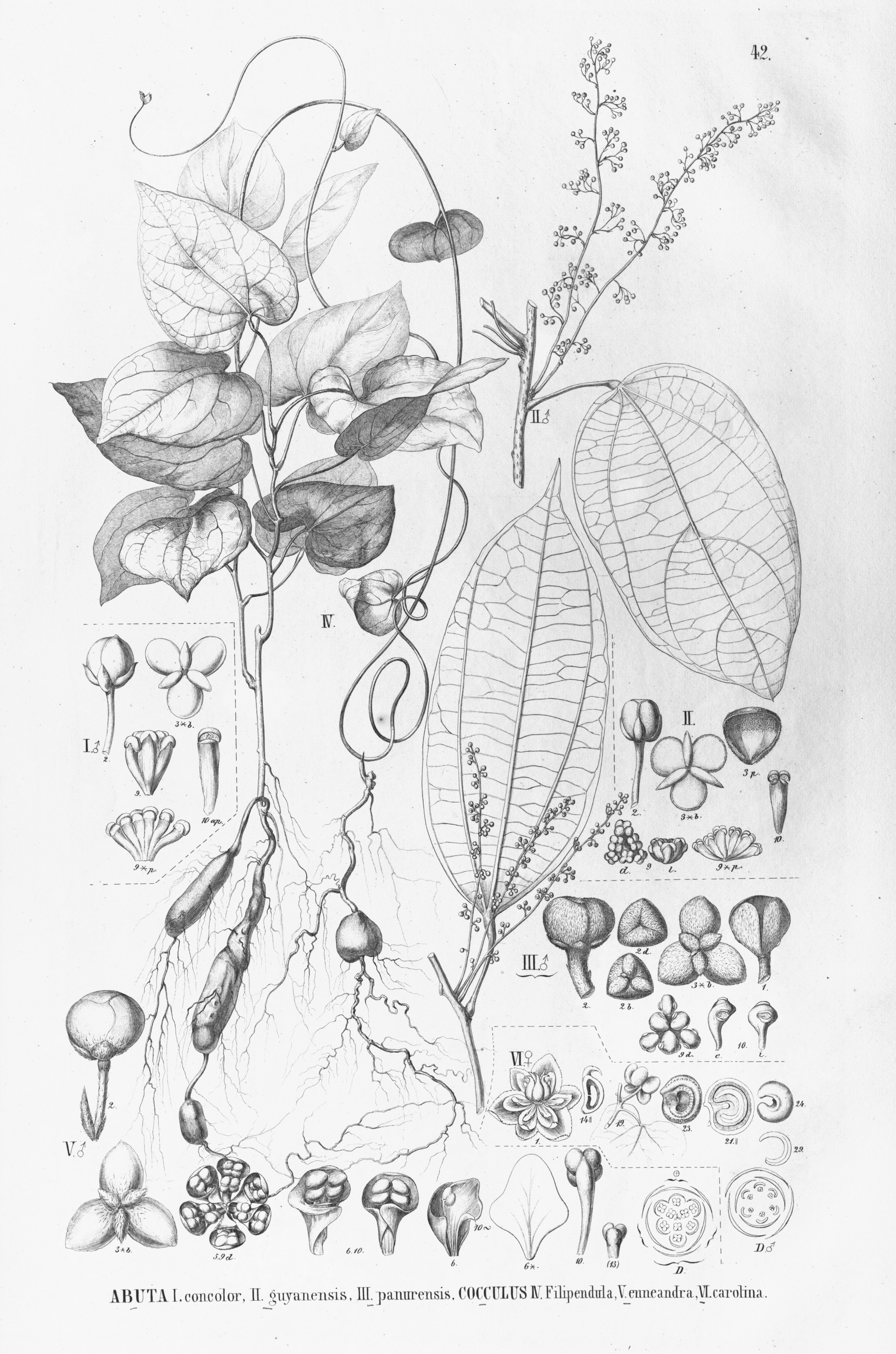 no full size  illustration available (3a)