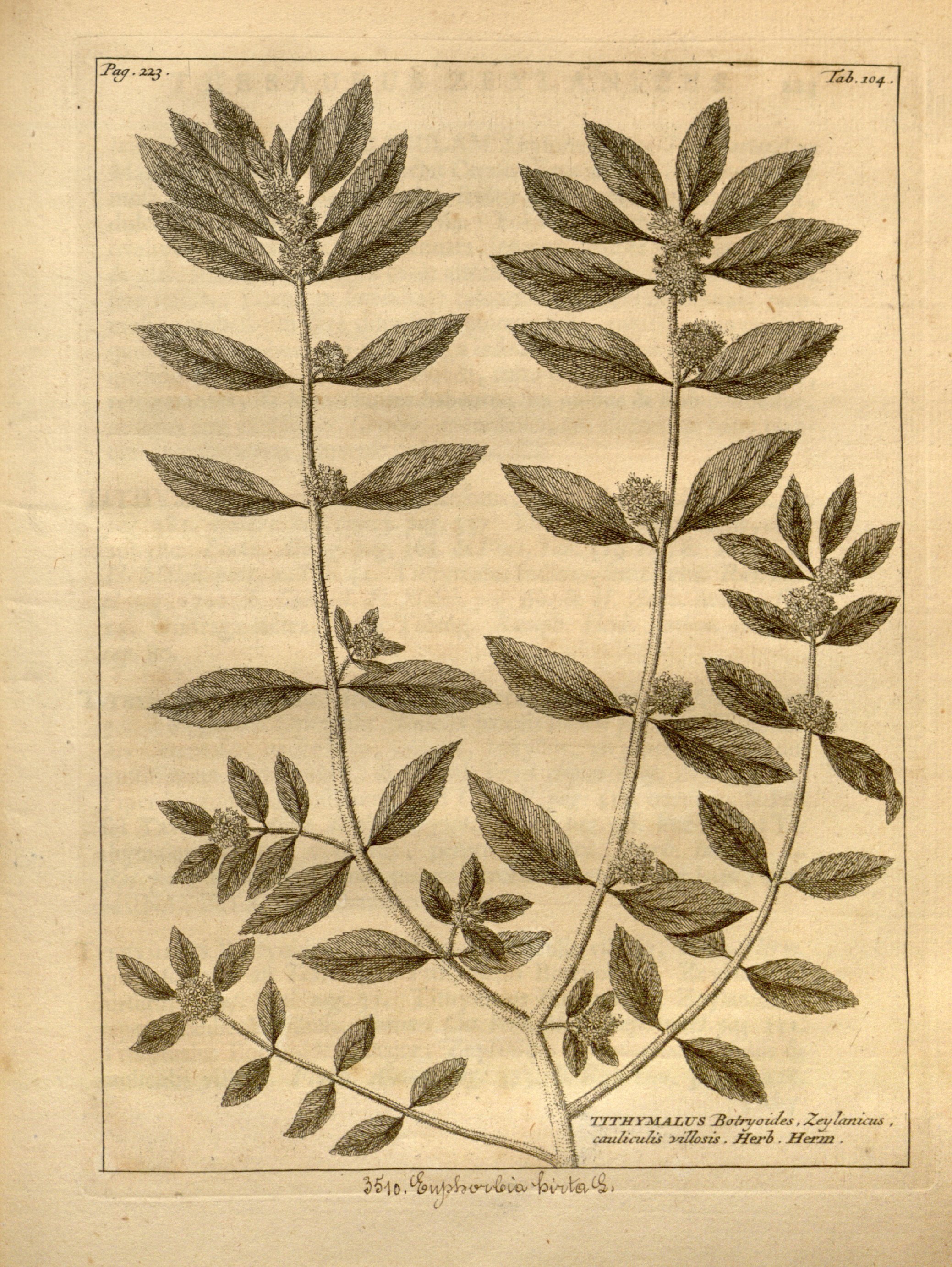 no full size  illustration available (3a)