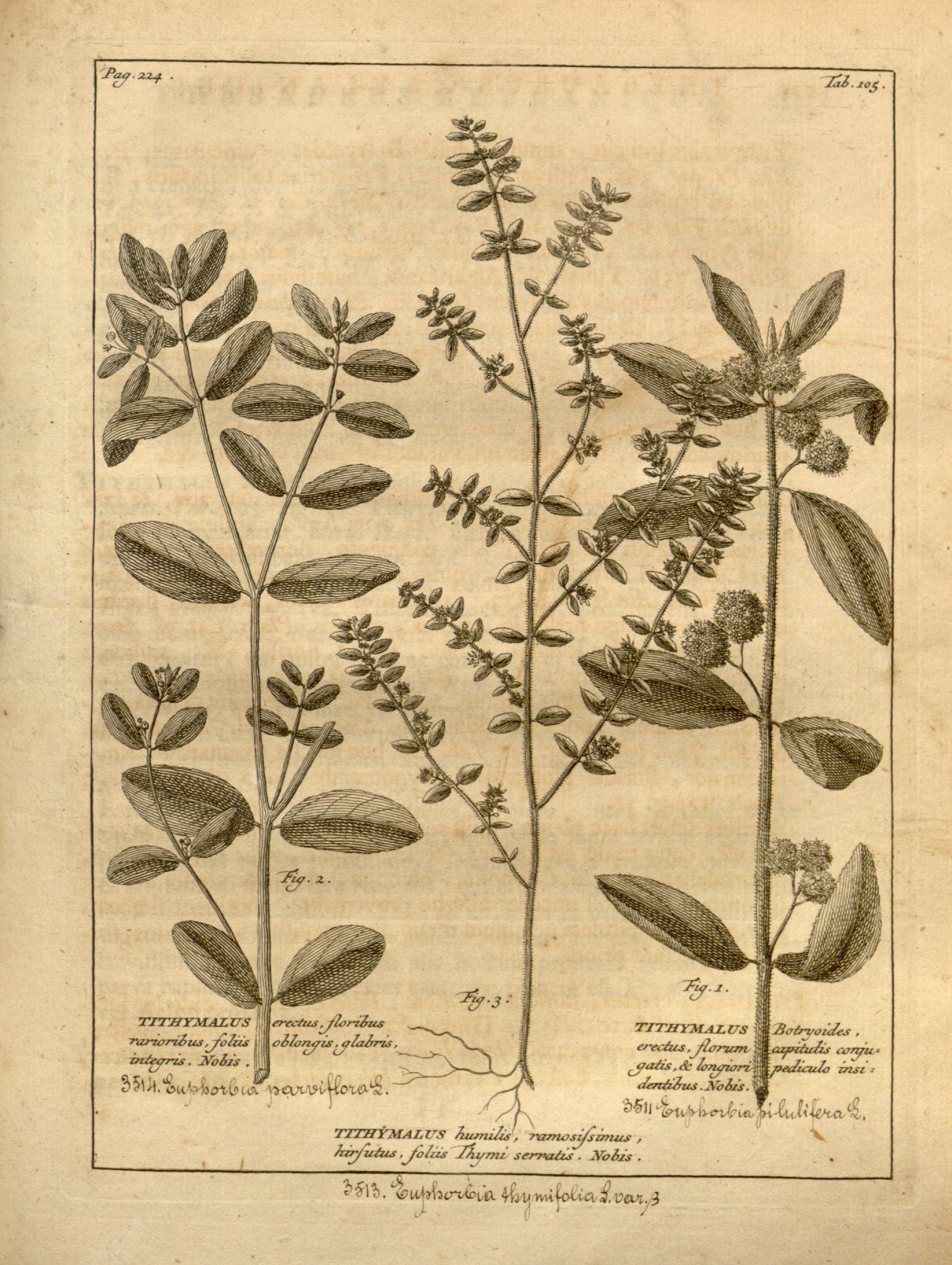 no full size  illustration available (3a)