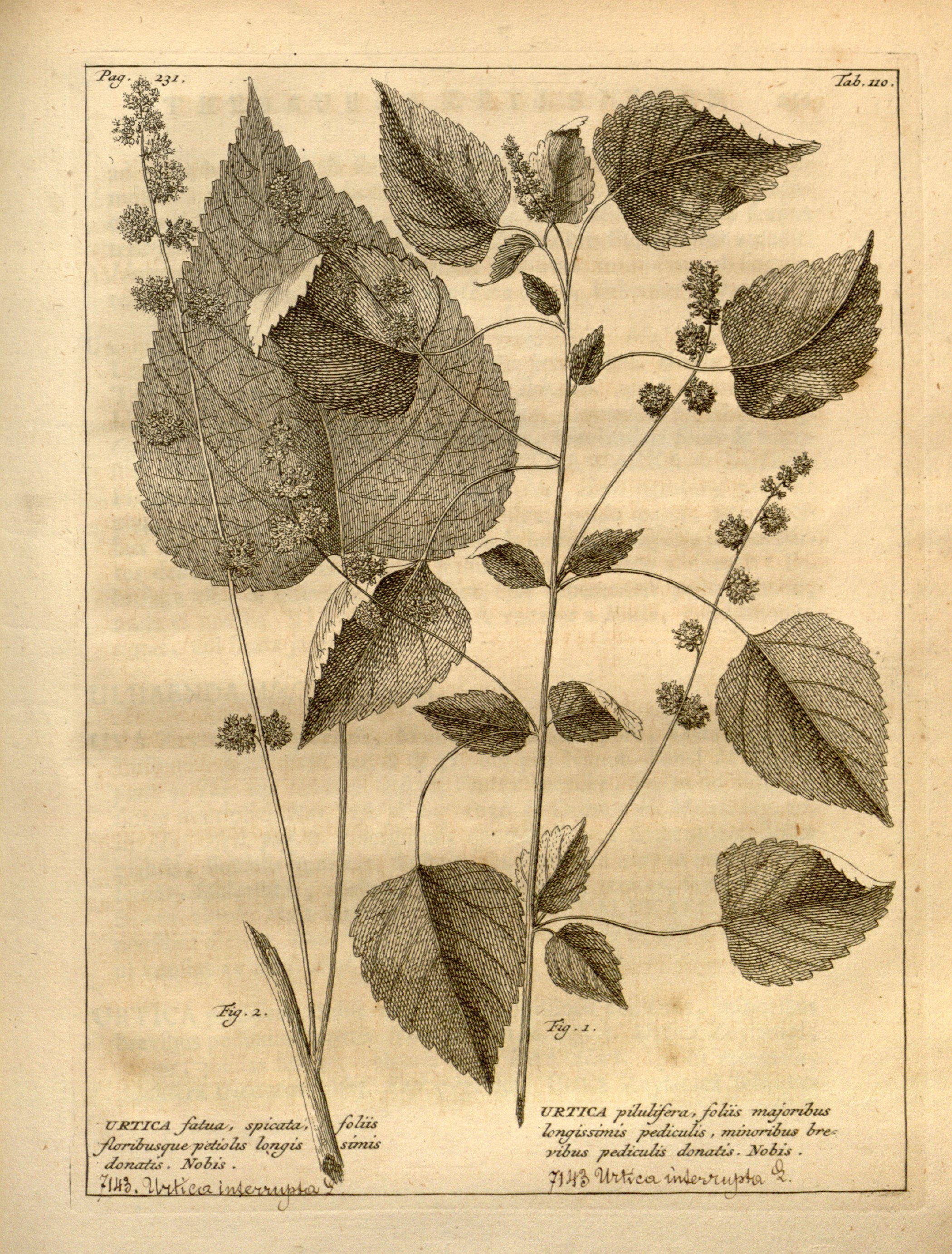 no full size  illustration available (3a)