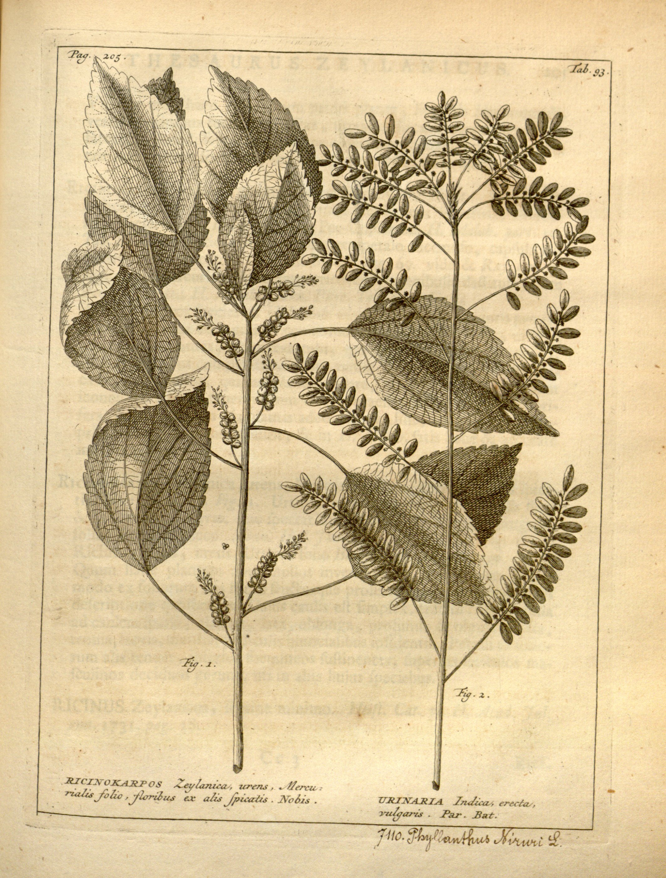 no full size  illustration available (3a)