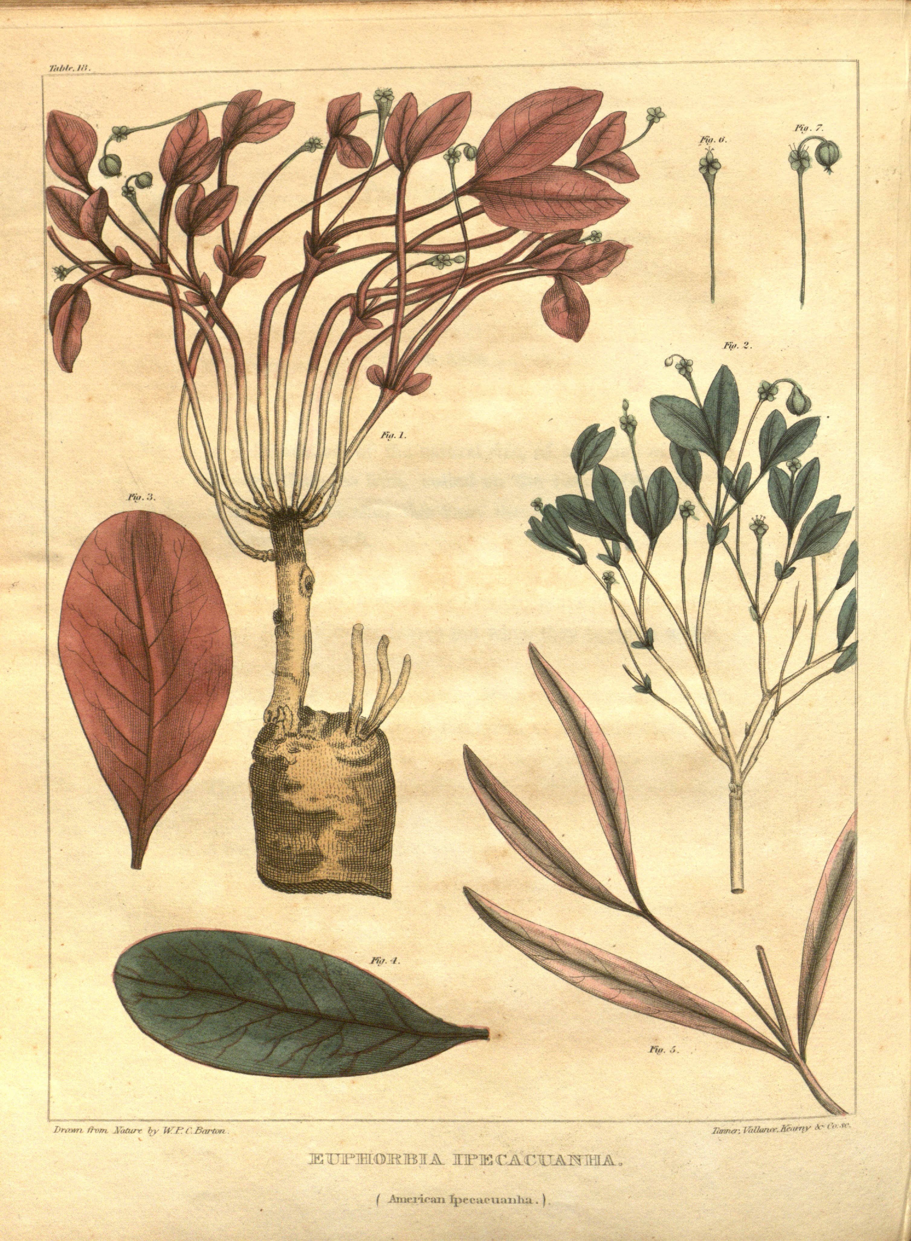 no full size  illustration available (3a)