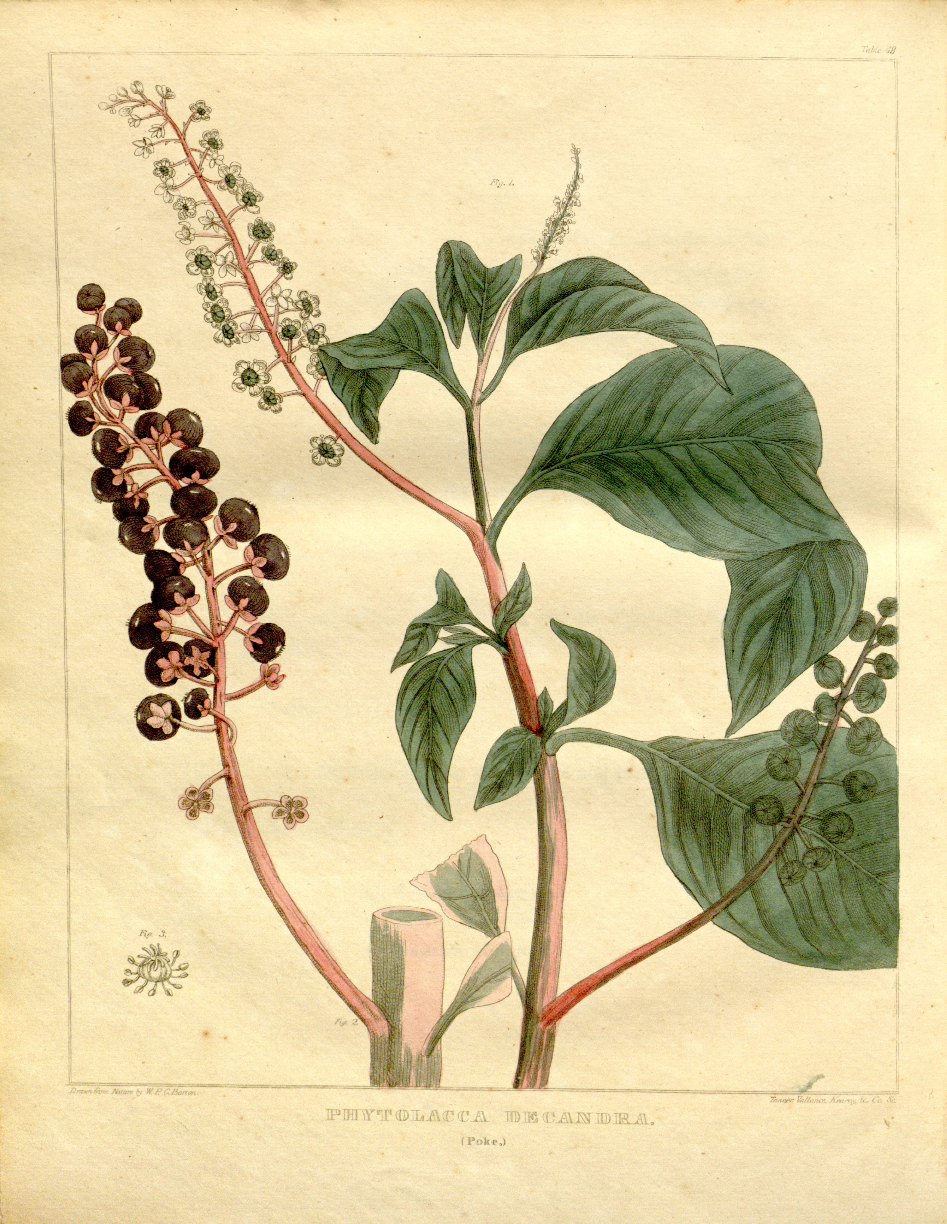 no full size  illustration available (3a)