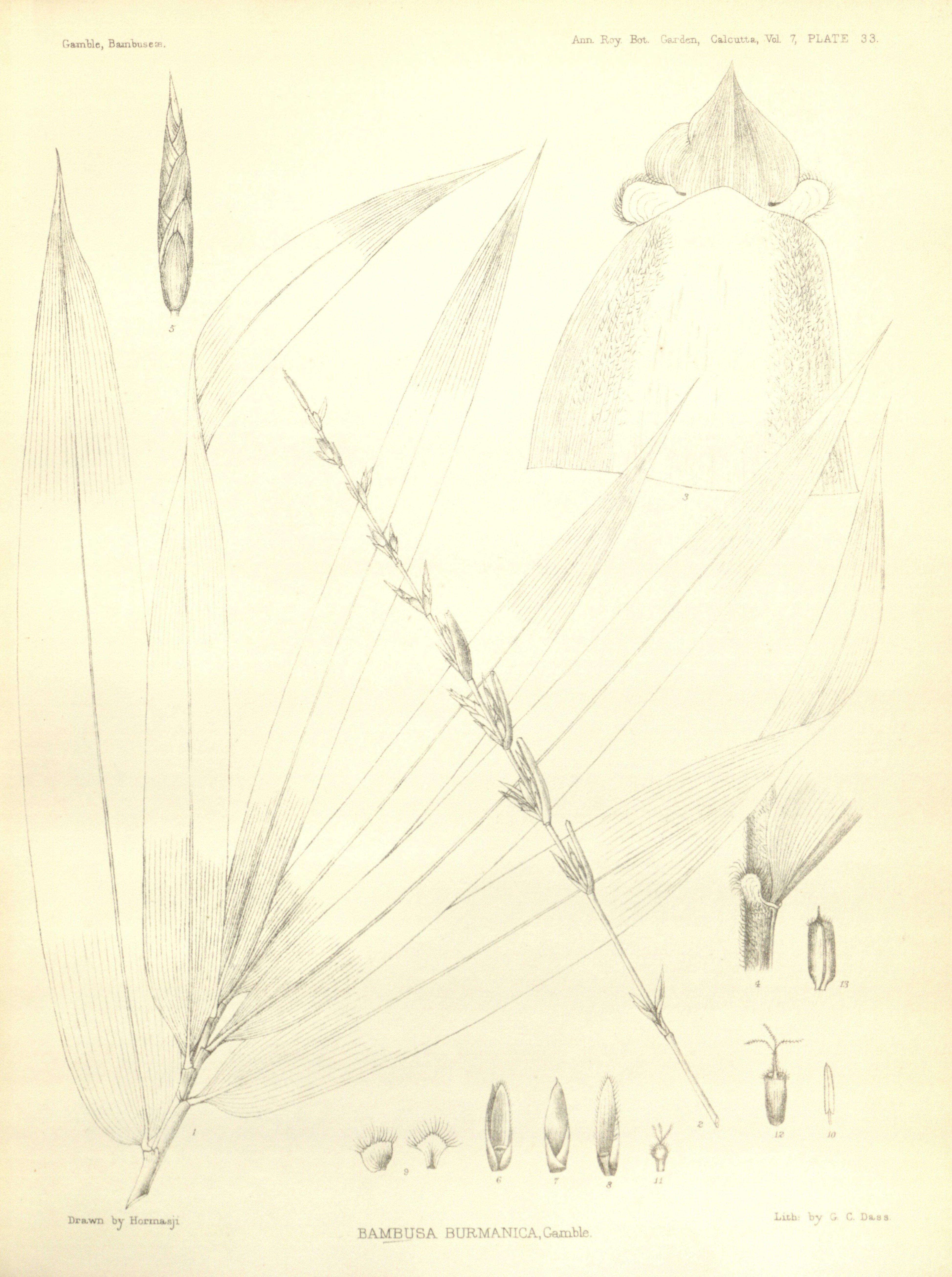 no full size  illustration available (3a)