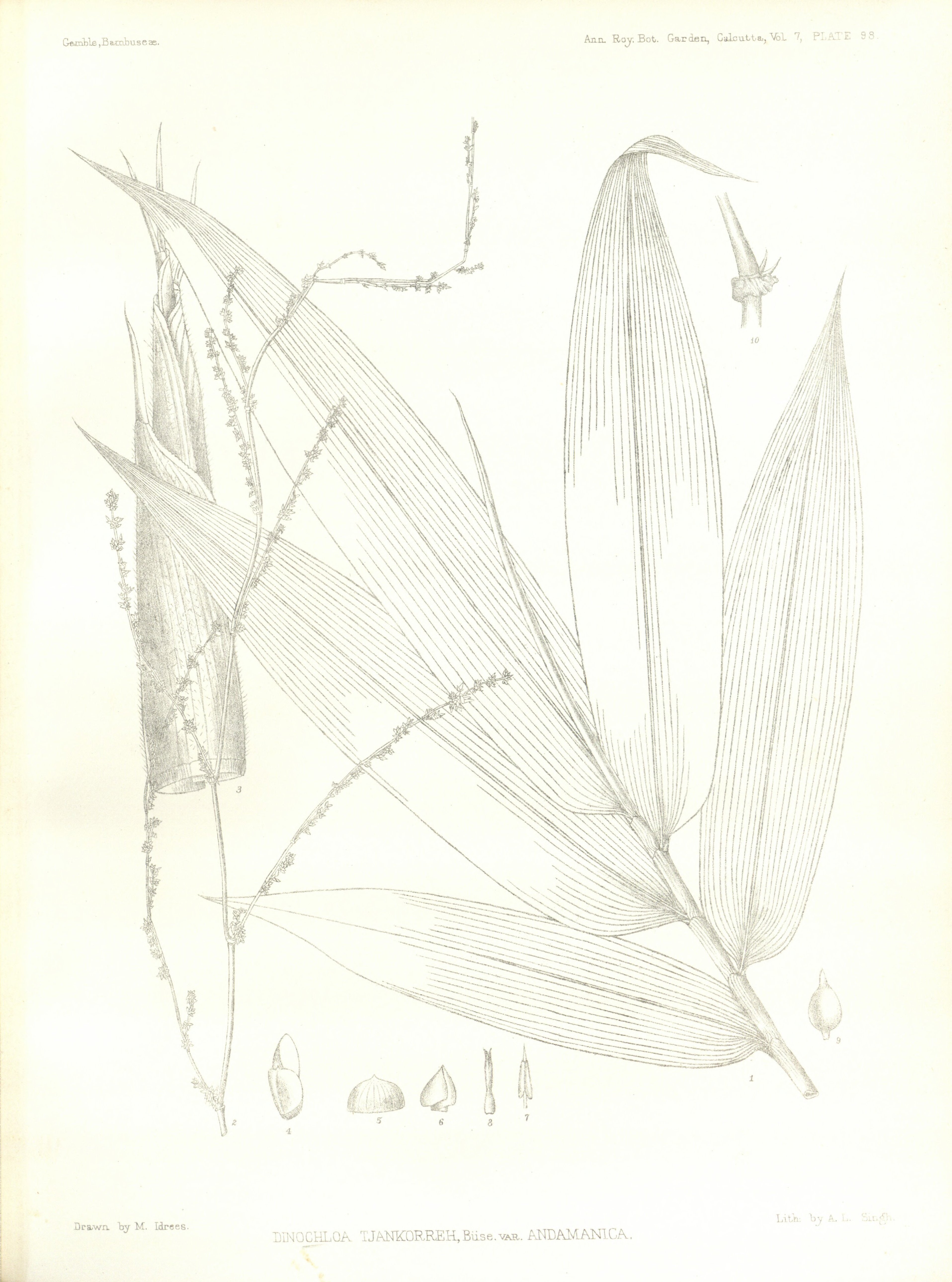 no full size  illustration available (3a)