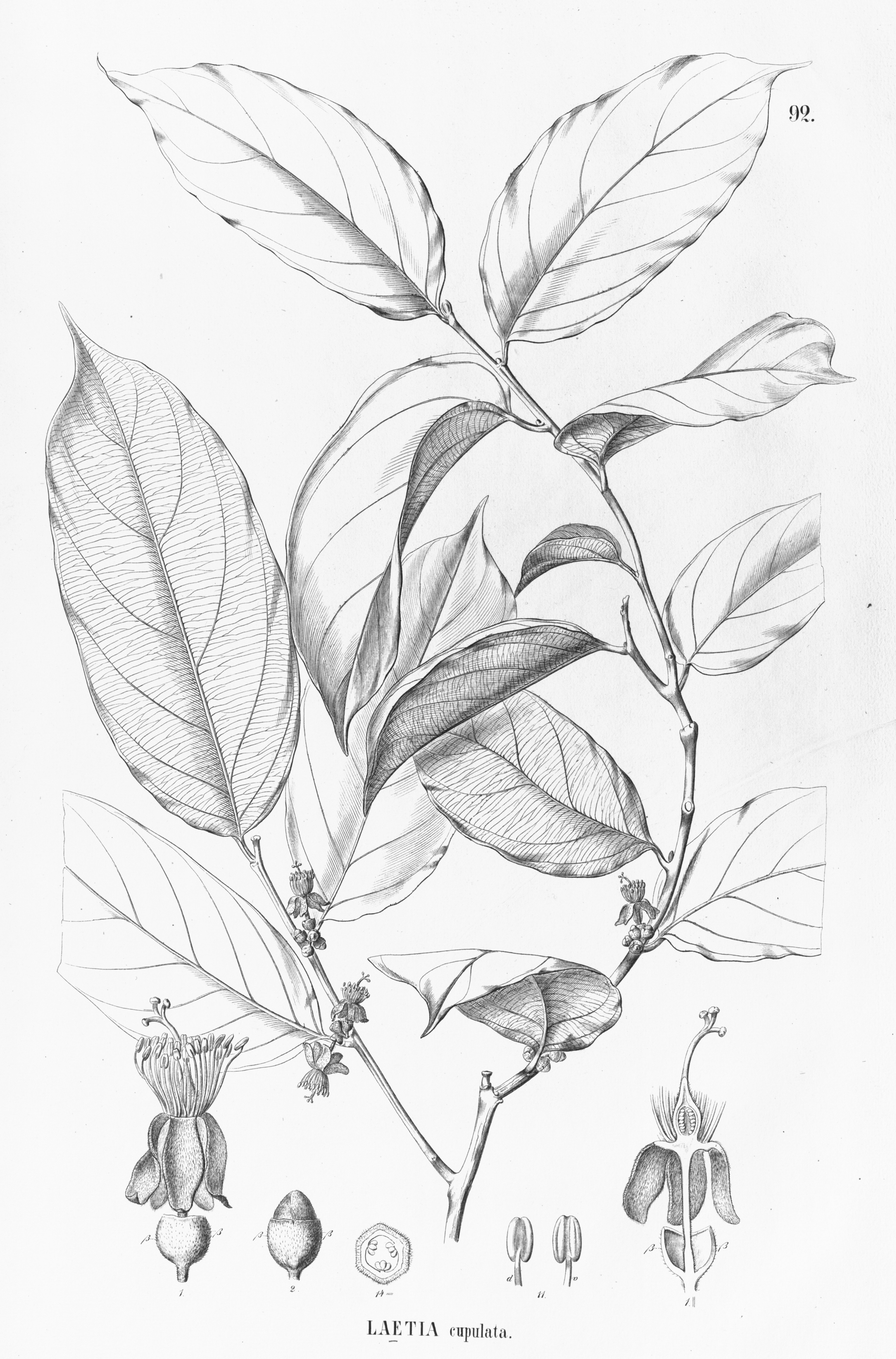 no full size  illustration available (3a)