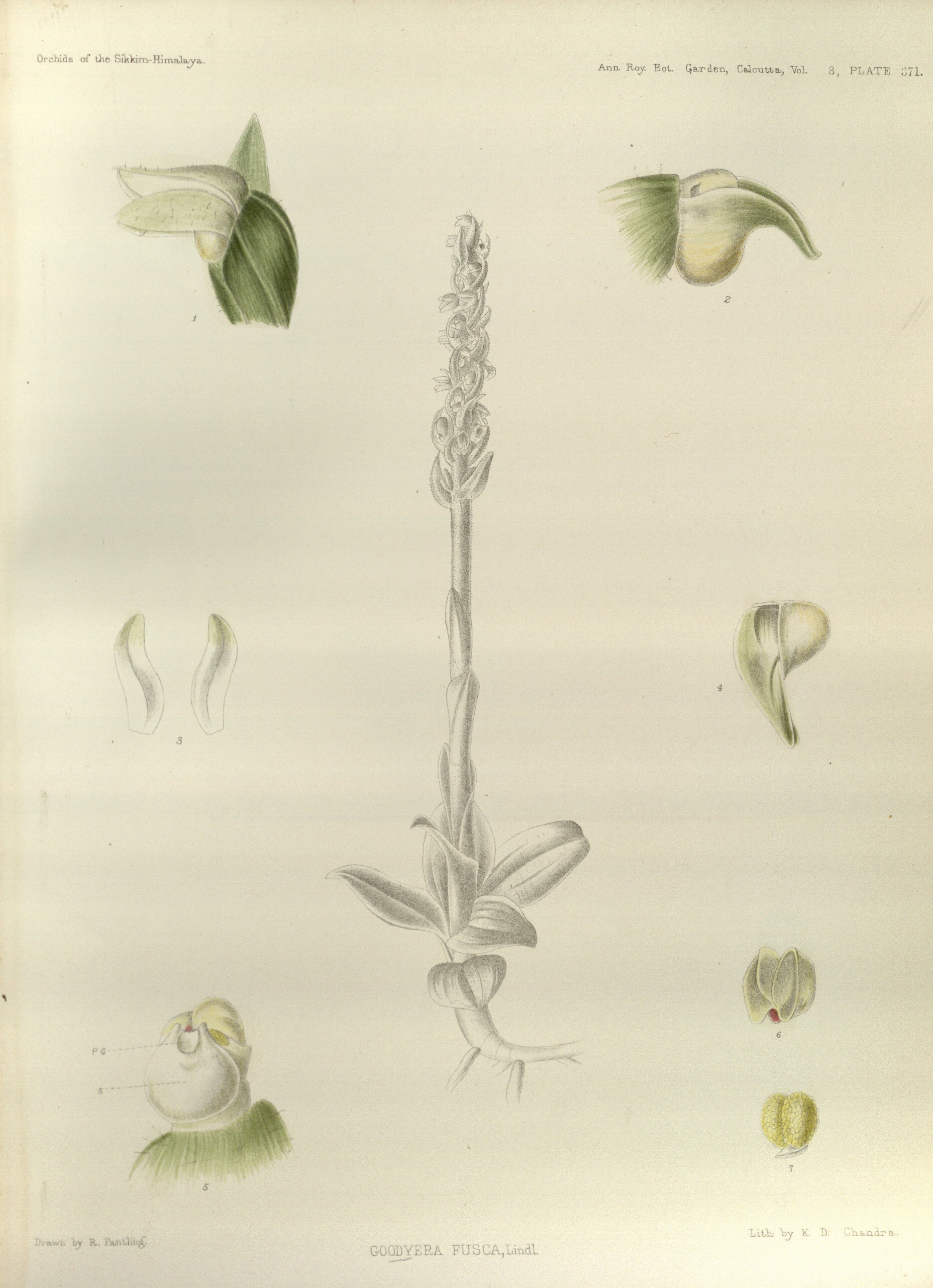 no full size  illustration available (3a)