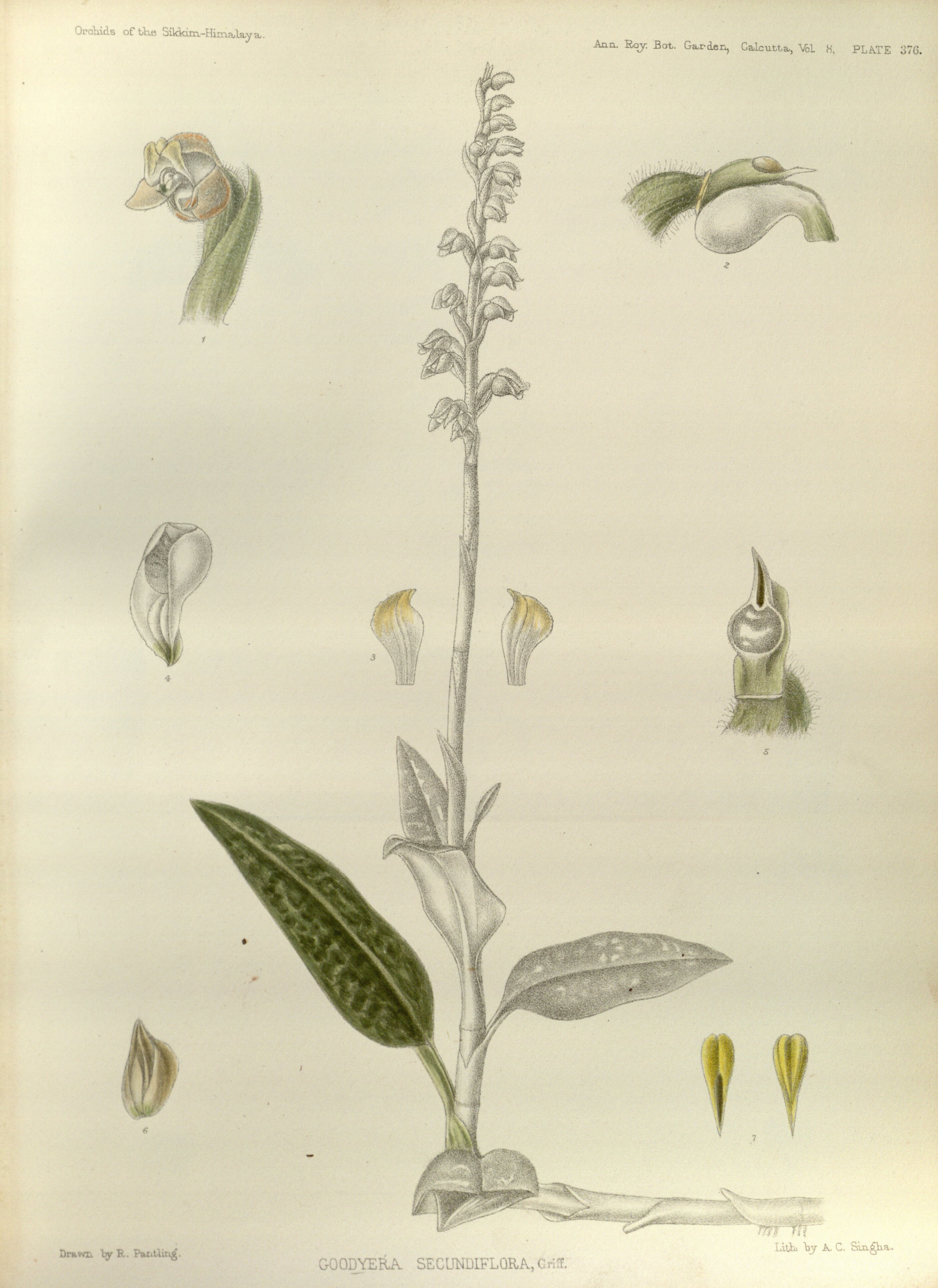 no full size  illustration available (3a)