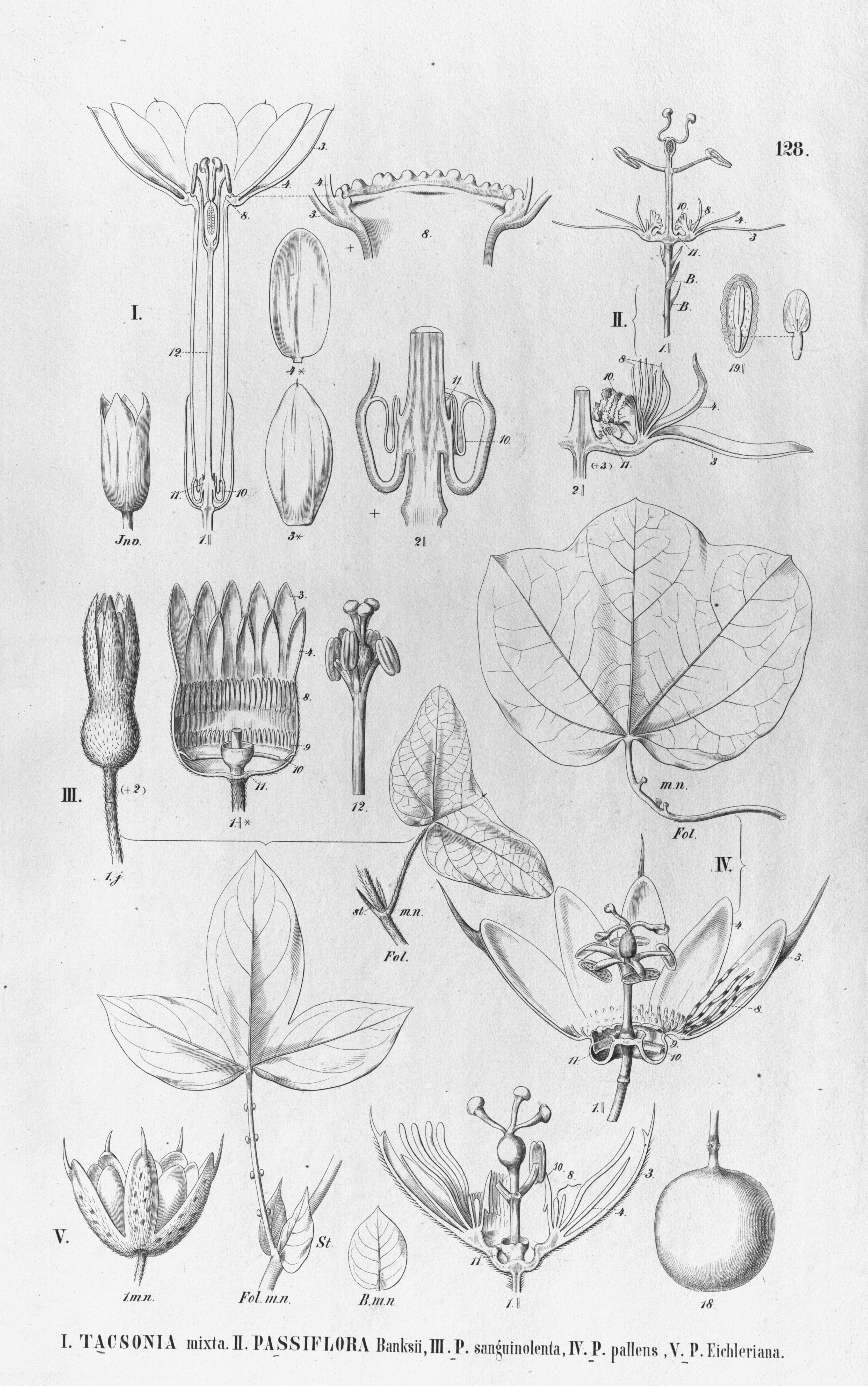 no full size  illustration available (3a)