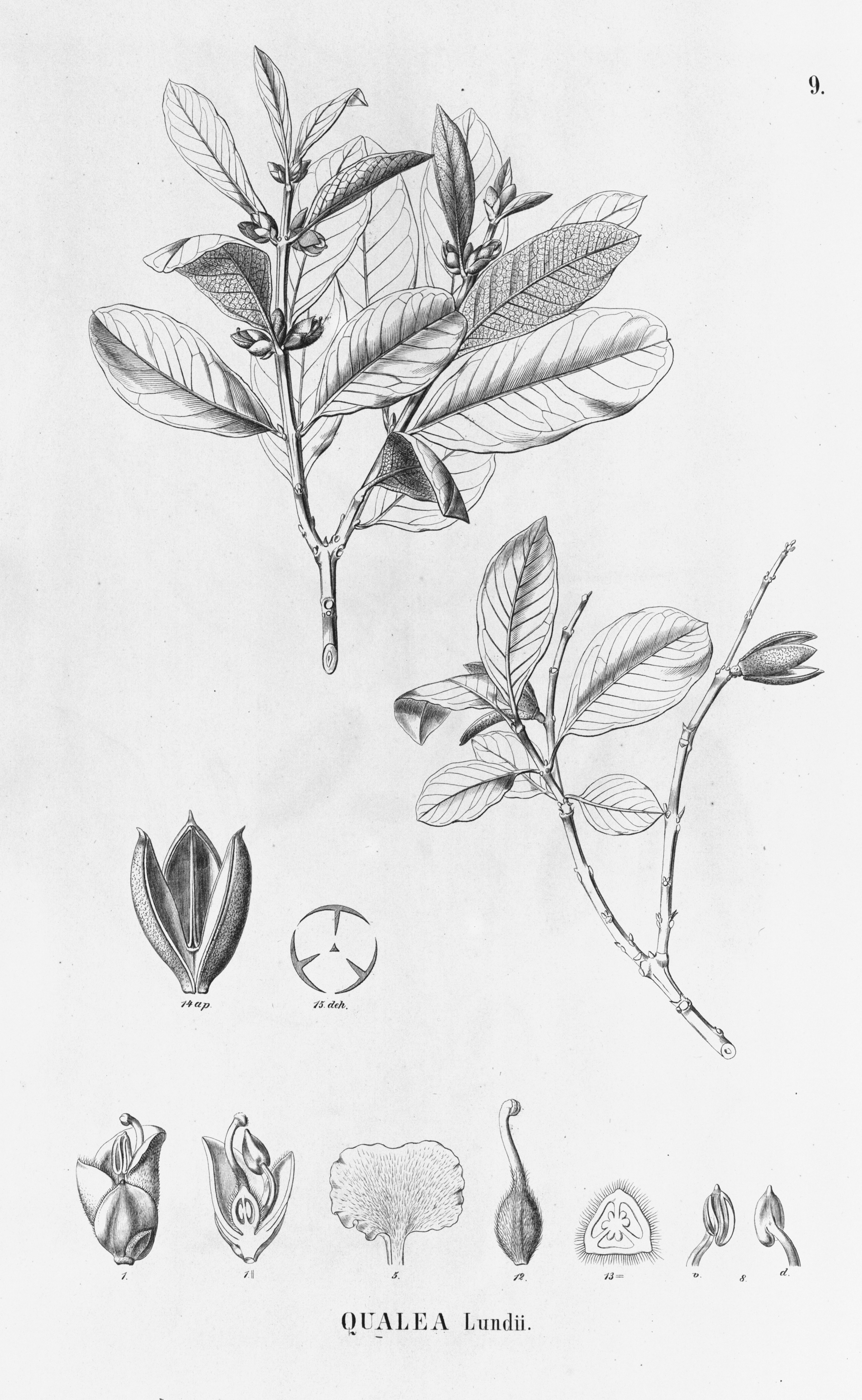 no full size  illustration available (3a)