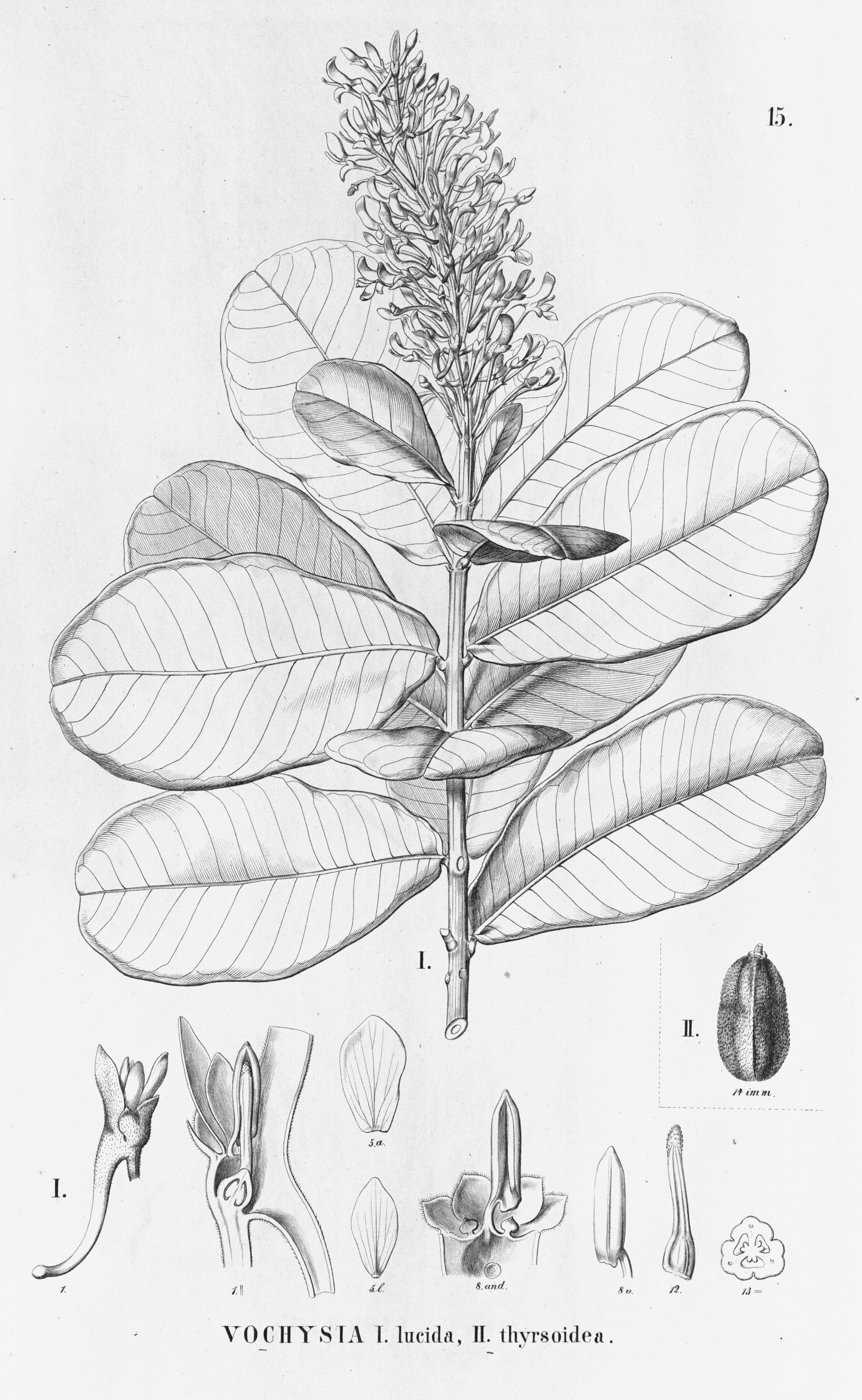 no full size  illustration available (3a)