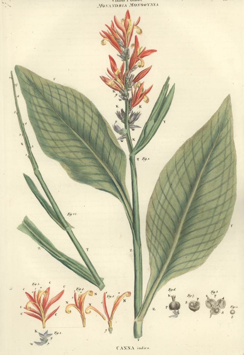 no full size  illustration available (3a)