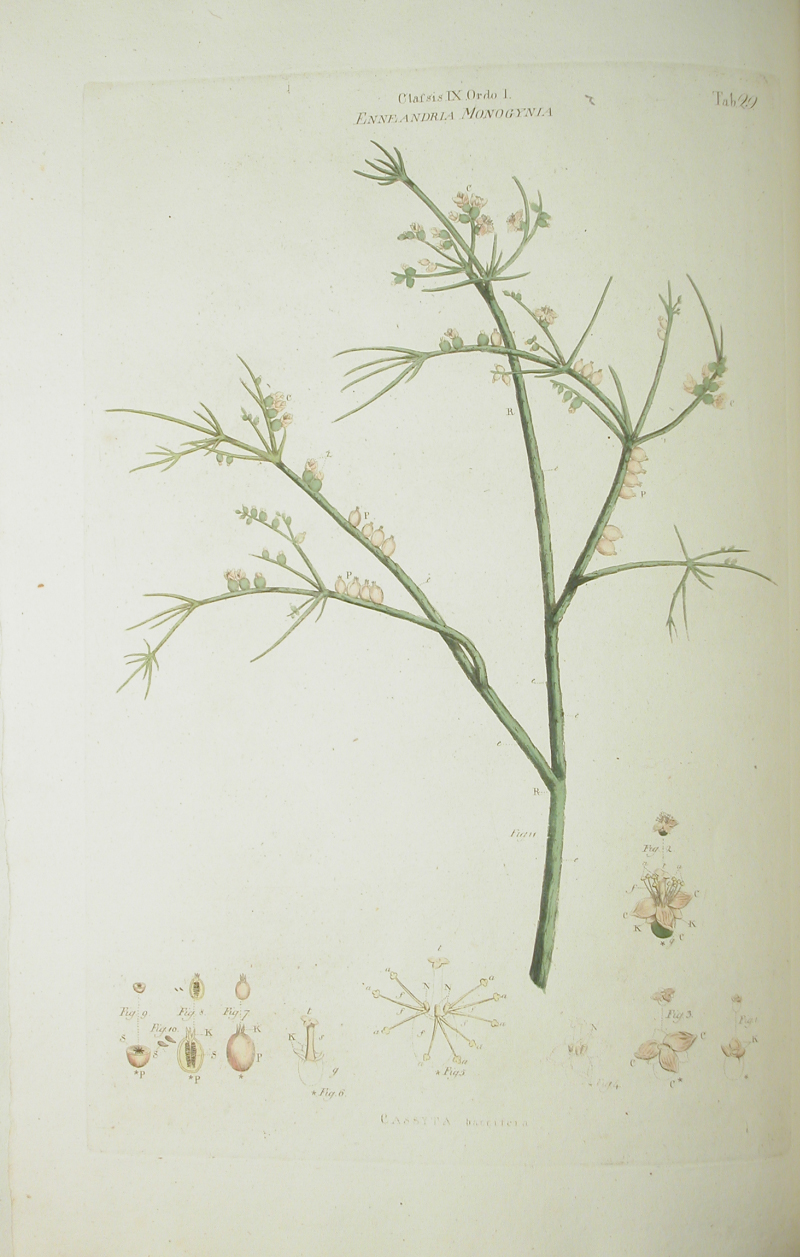 no full size  illustration available (3a)