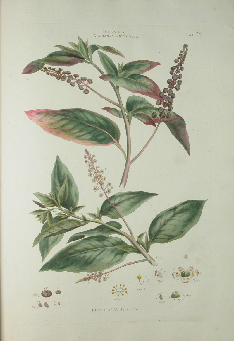 no full size  illustration available (3a)