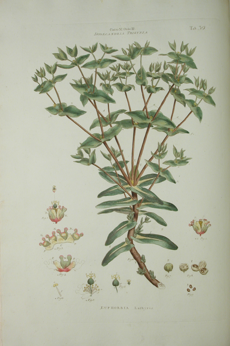 no full size  illustration available (3a)