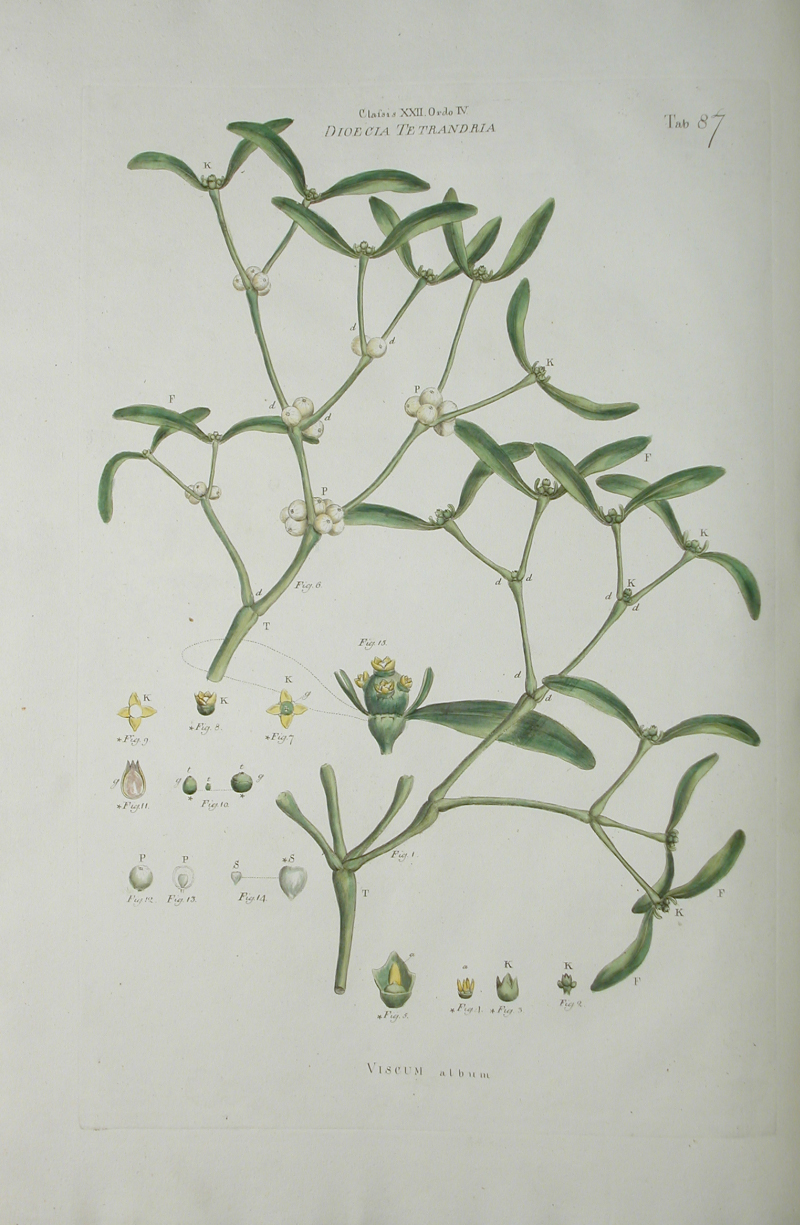 no full size  illustration available (3a)