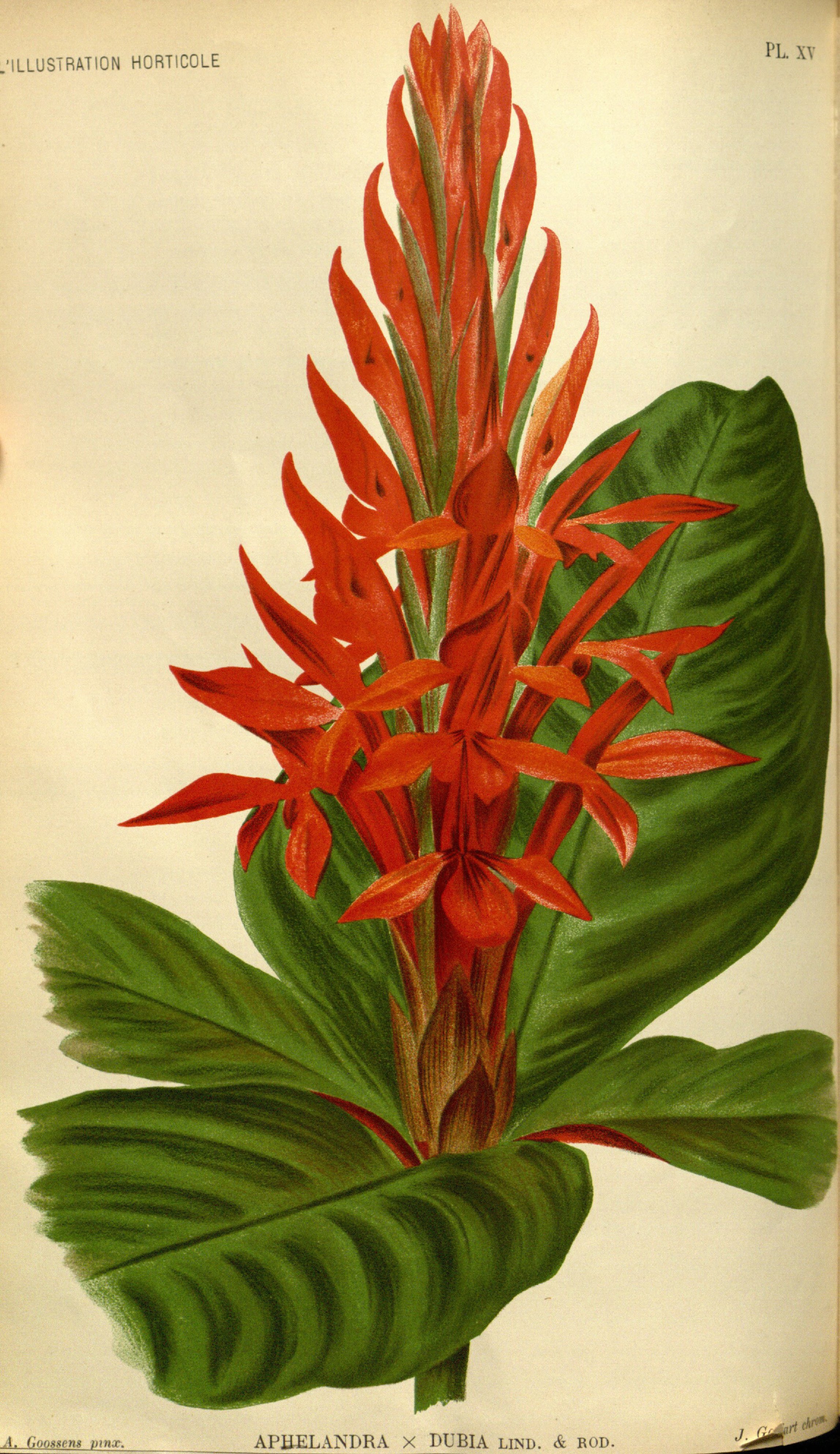 no full size  illustration available (3a)