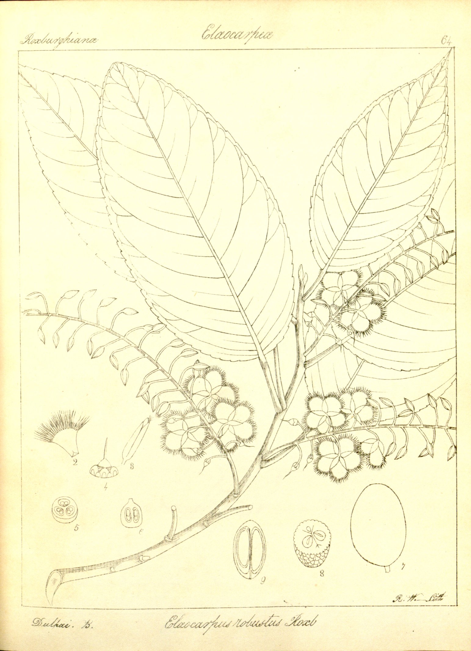 no full size  illustration available (3a)