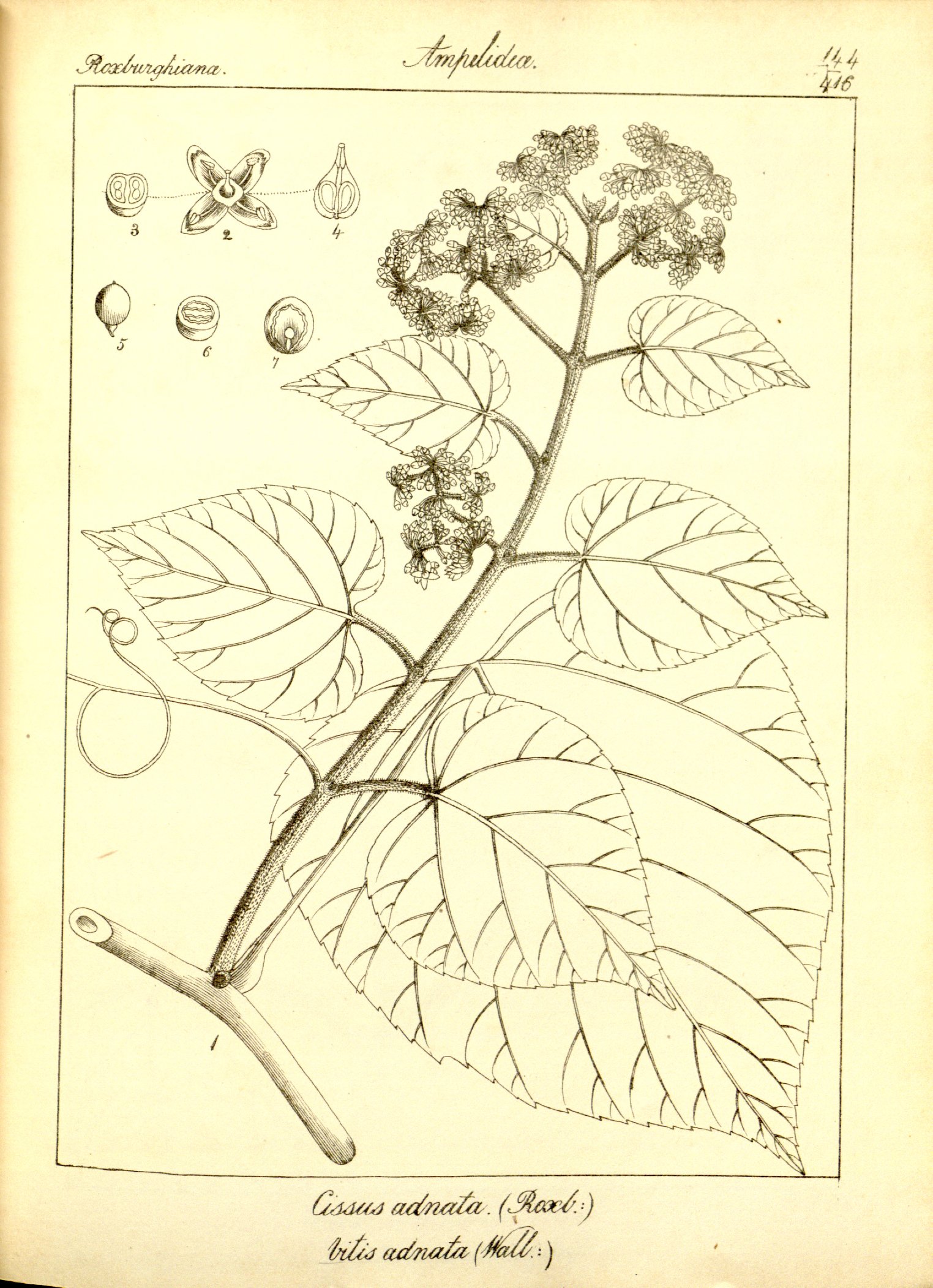 no full size  illustration available (3a)