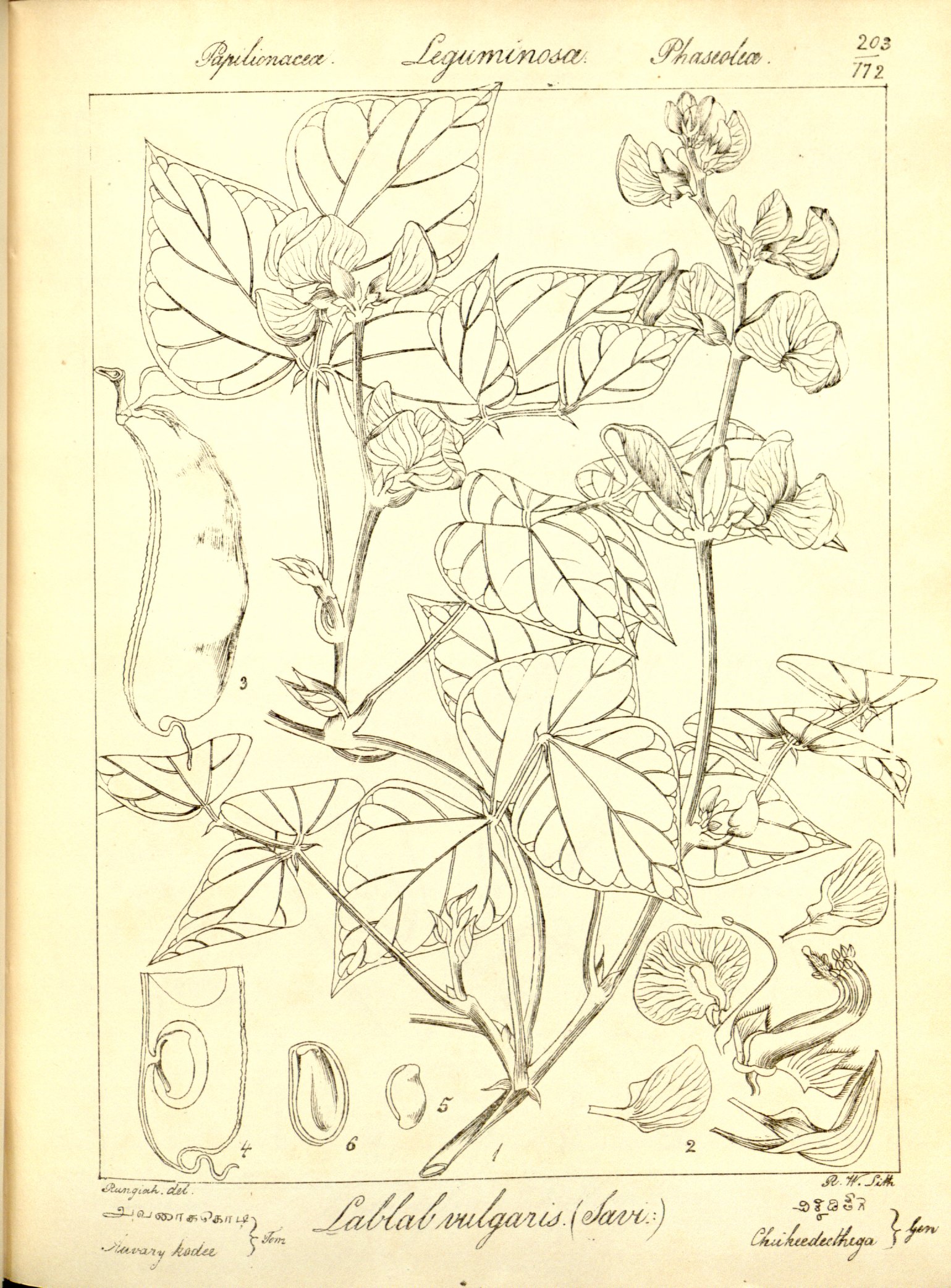 no full size  illustration available (3a)