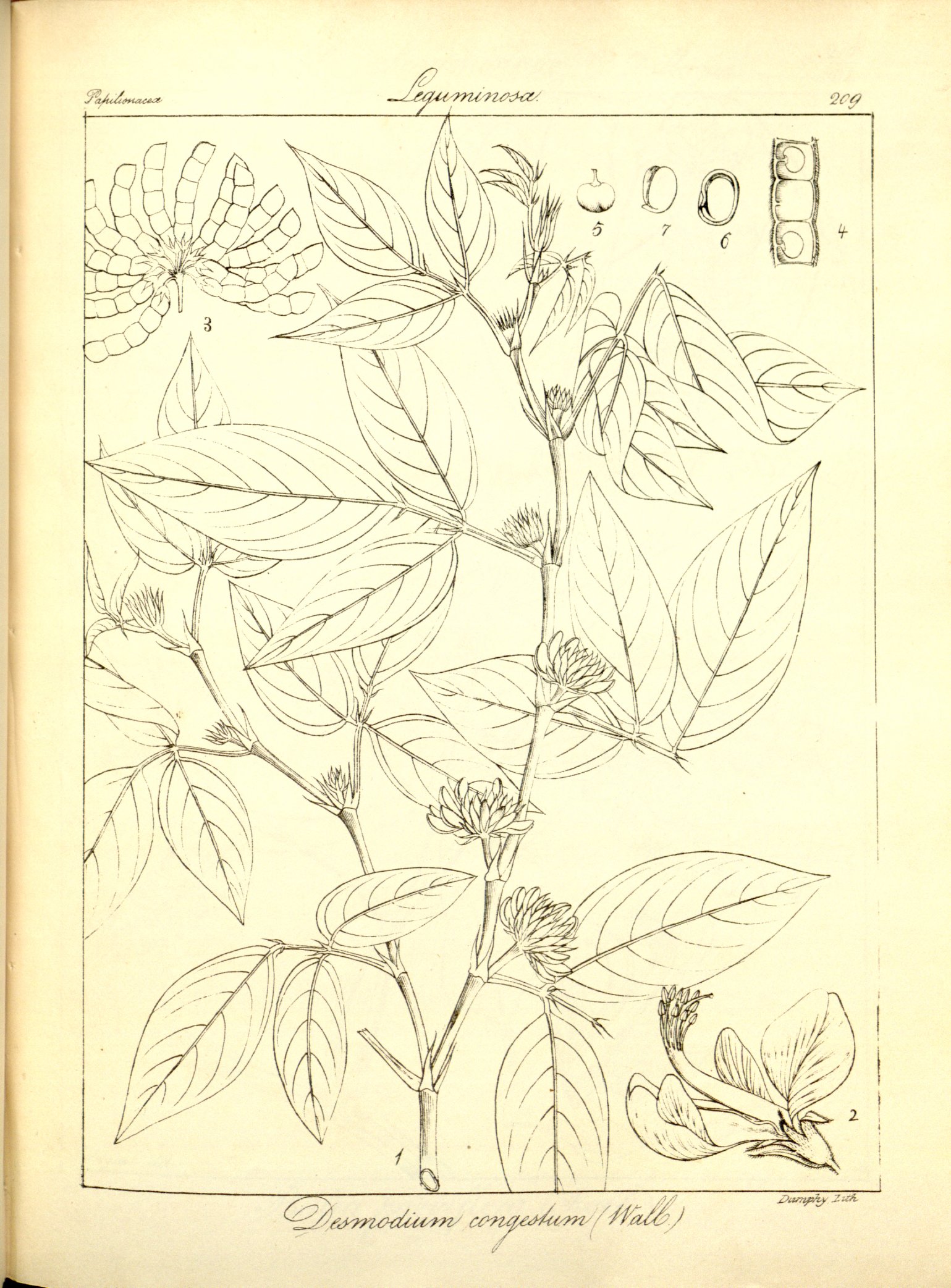 no full size  illustration available (3a)