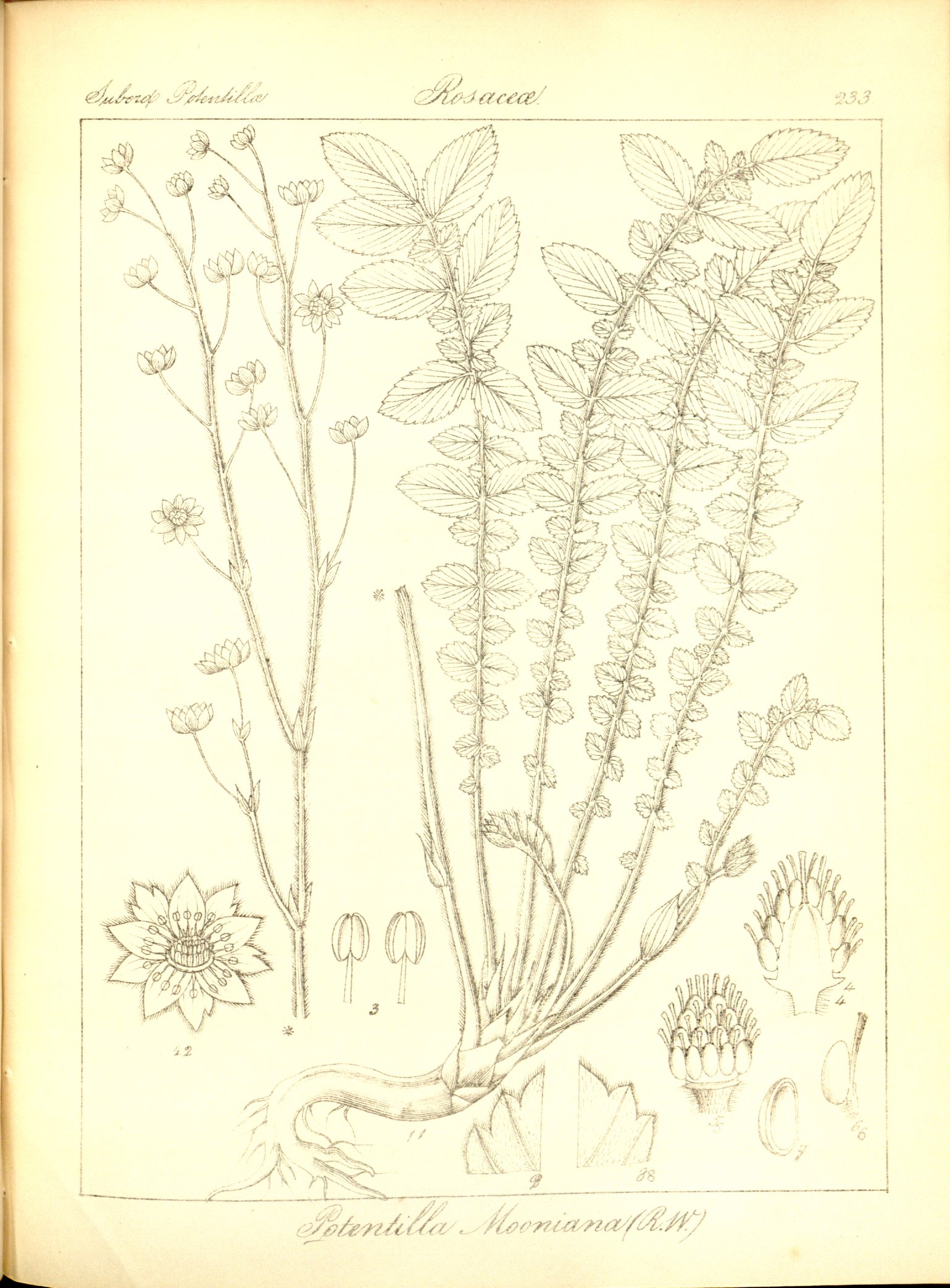 no full size  illustration available (3a)