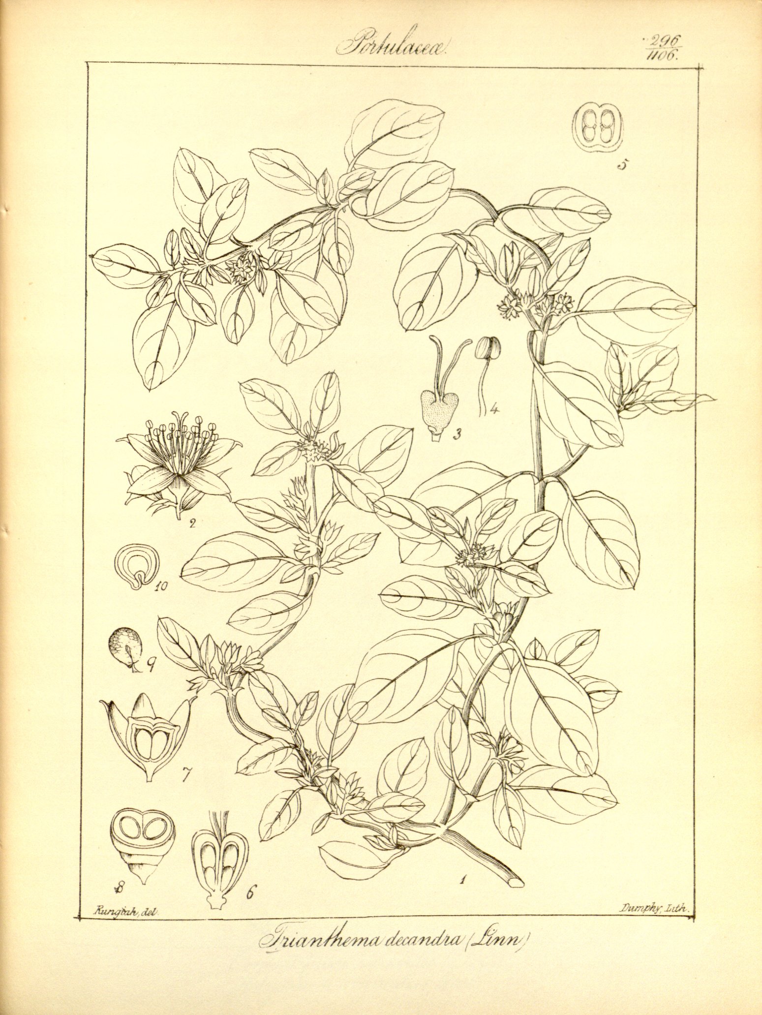 no full size  illustration available (3a)