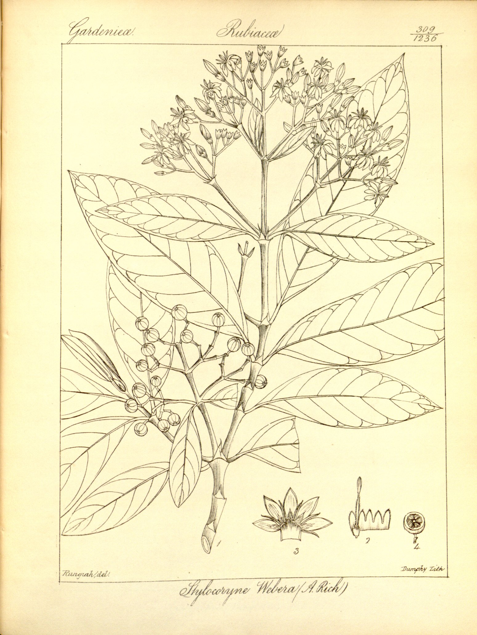 no full size  illustration available (3a)