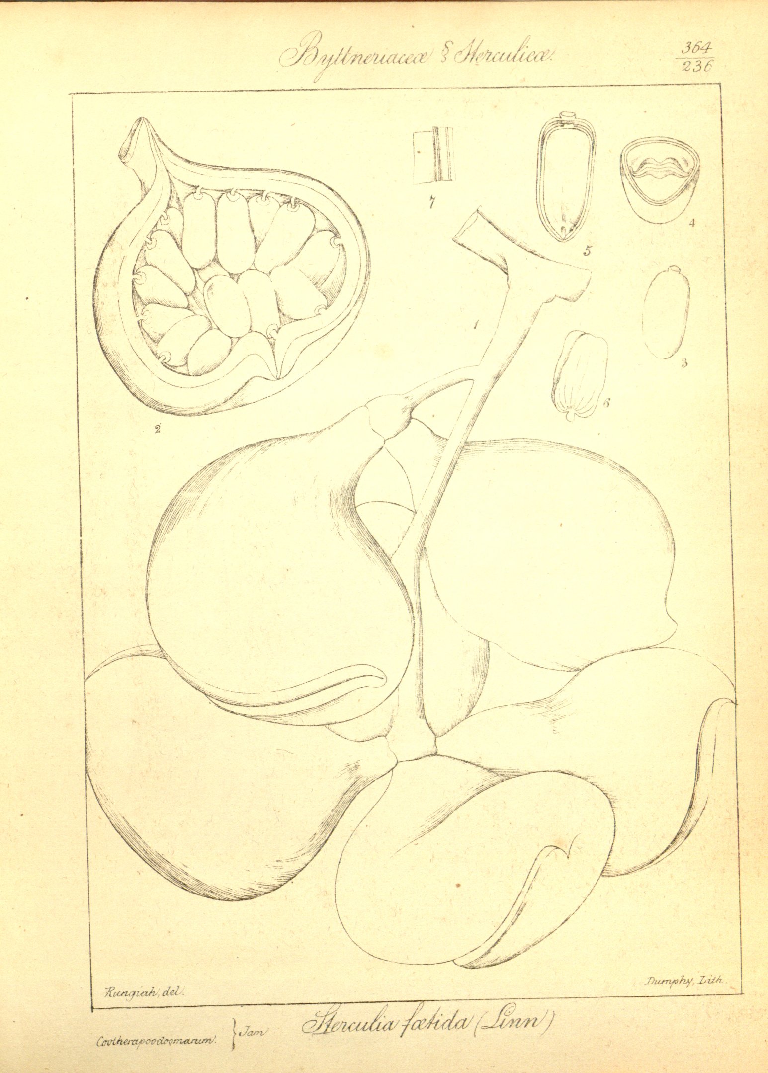 no full size  illustration available (3a)