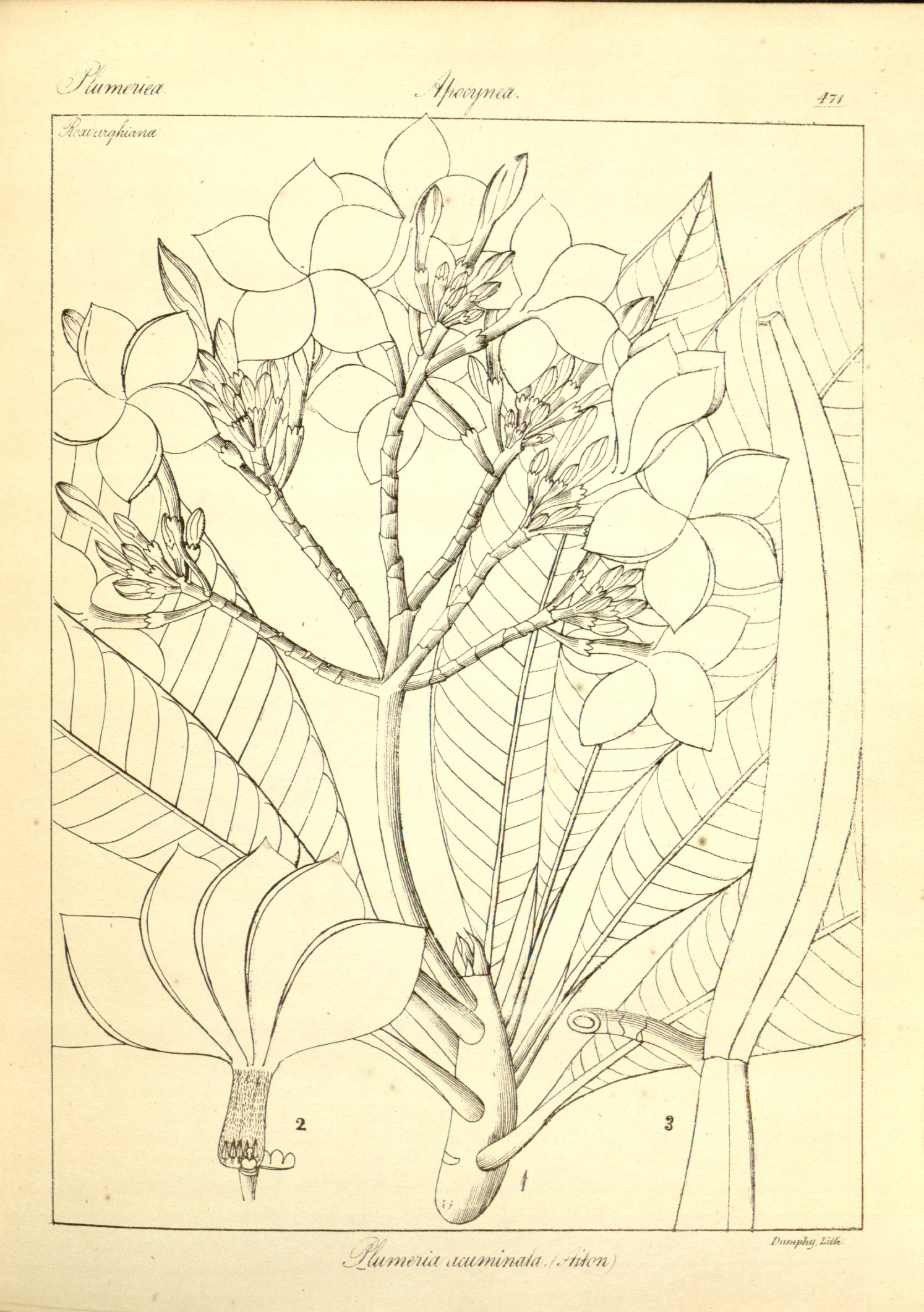 no full size  illustration available (3a)