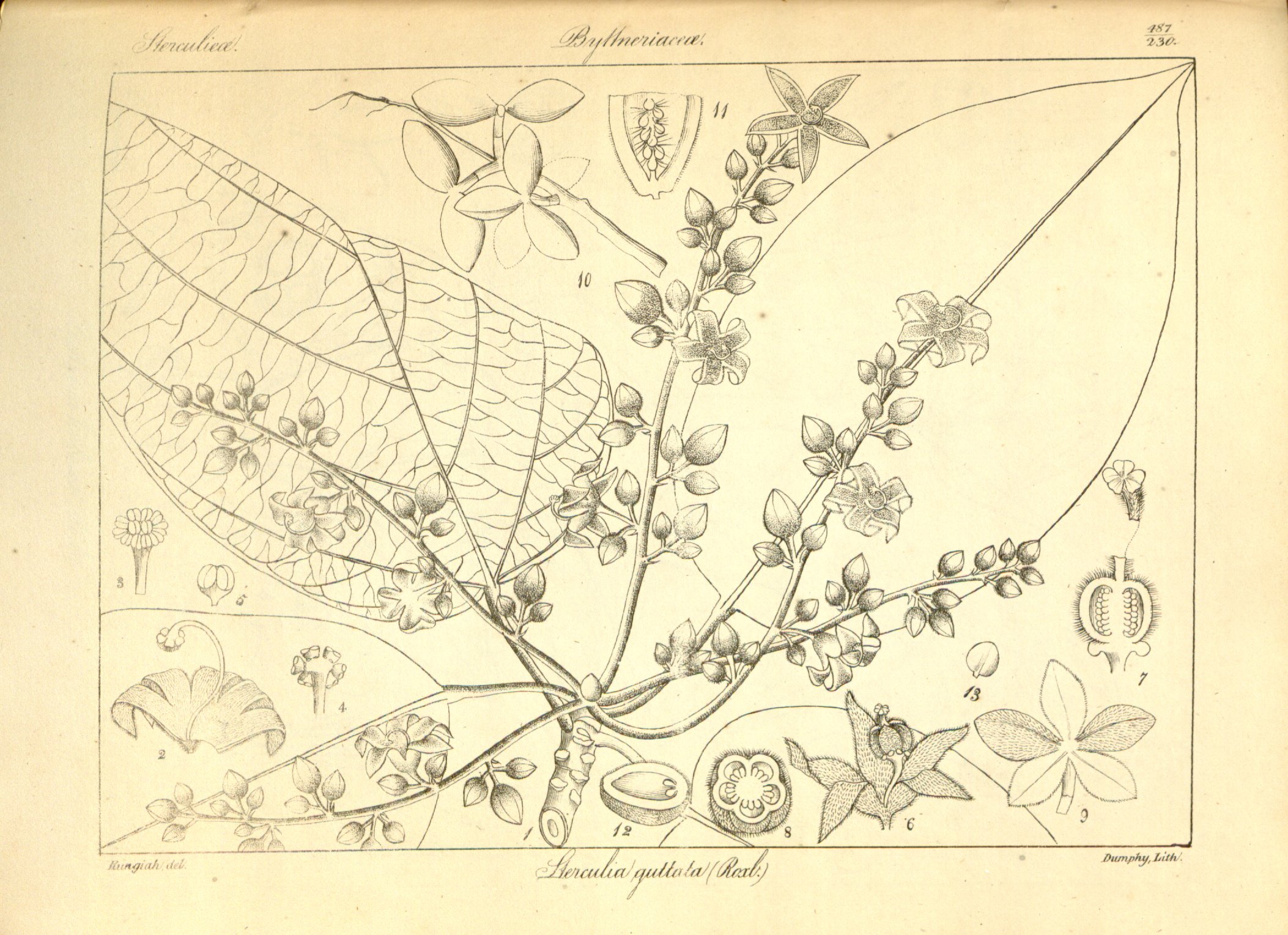 no full size  illustration available (3a)