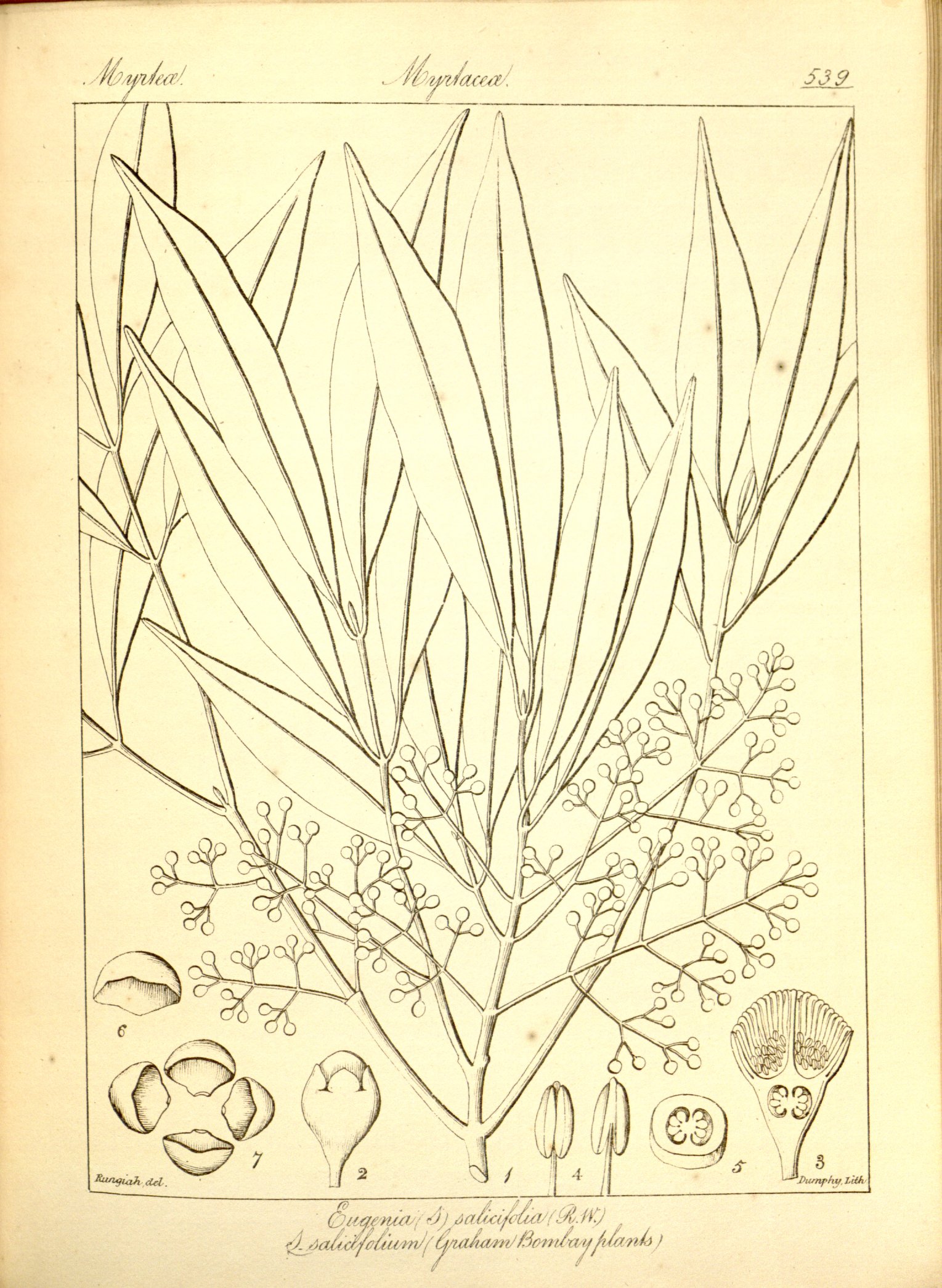 no full size  illustration available (3a)