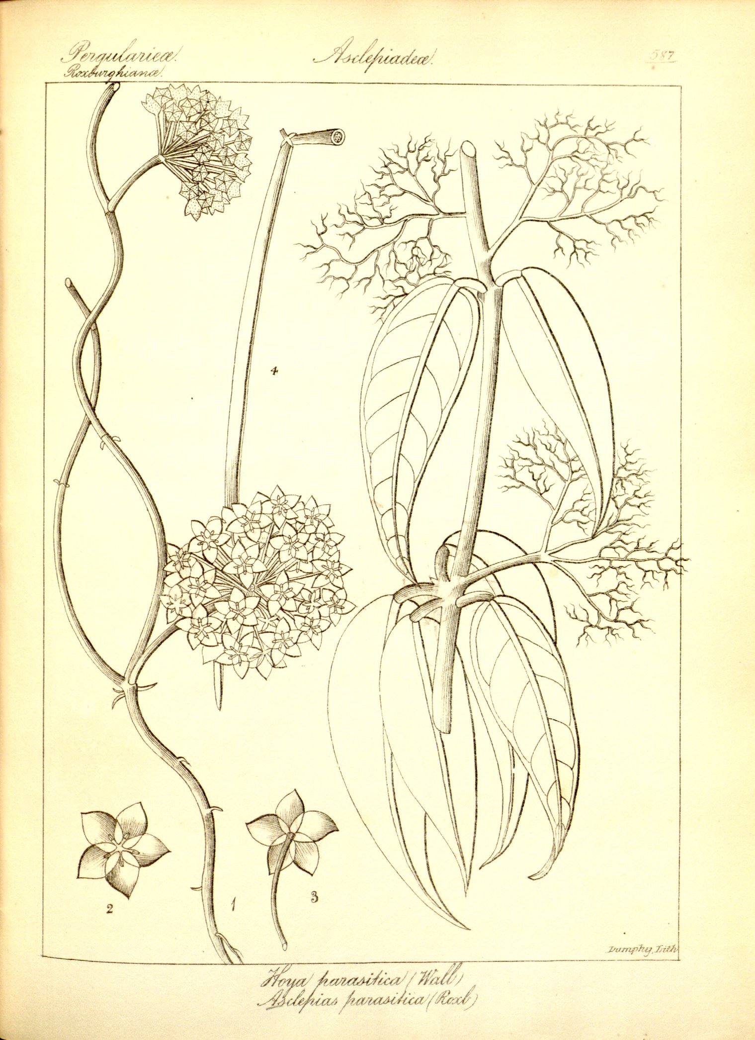 no full size  illustration available (3a)